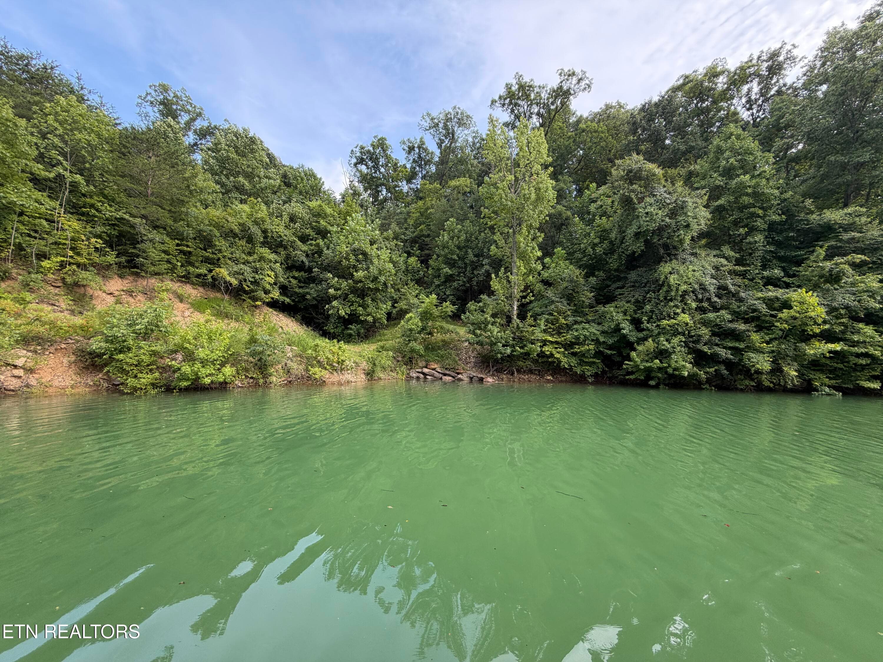 Flat area at Lake - 1225 Paradise Lane, Dandridge, TN 37725
