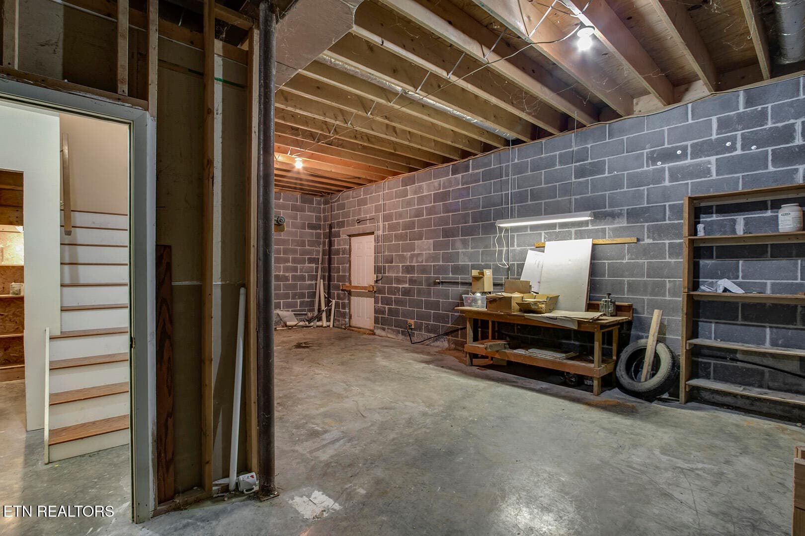 46_BluebirdCoveLane_1560_BackBasement02 - 1560 Bluebird Cove Lane, Sevierville, TN 37862