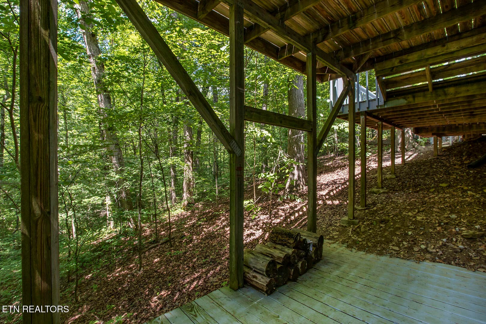 48_BluebirdCoveLane_1560_BasementDeck03 - 1560 Bluebird Cove Lane, Sevierville, TN 37862