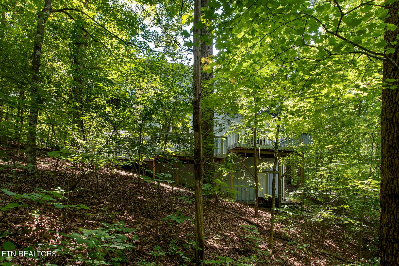 49_BluebirdCoveLane_1560_Back - 1560 Bluebird Cove Lane, Sevierville, TN 37862