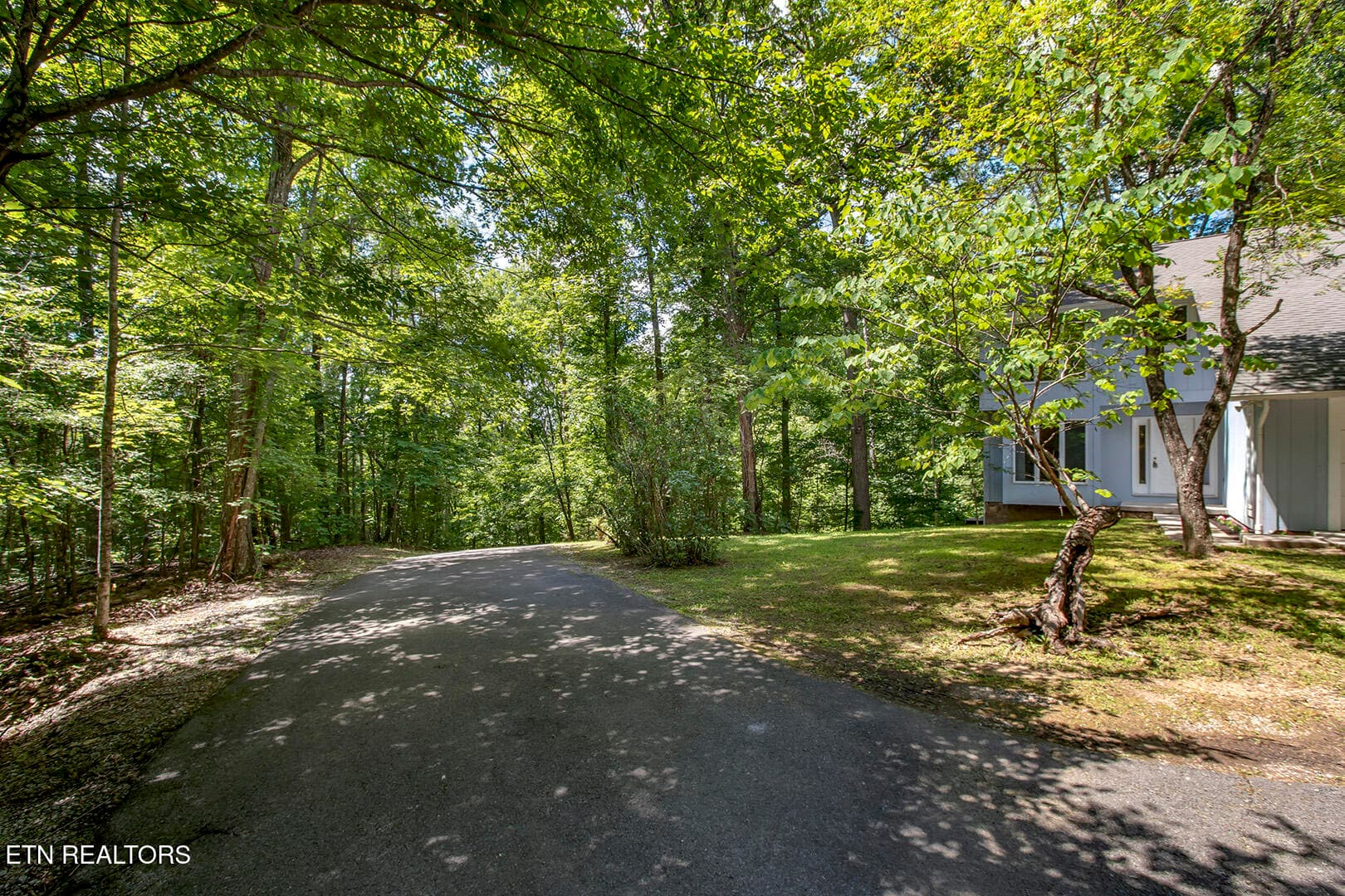 55_BluebirdCoveLane_1560_DrivewayDownToR - 1560 Bluebird Cove Lane, Sevierville, TN 37862