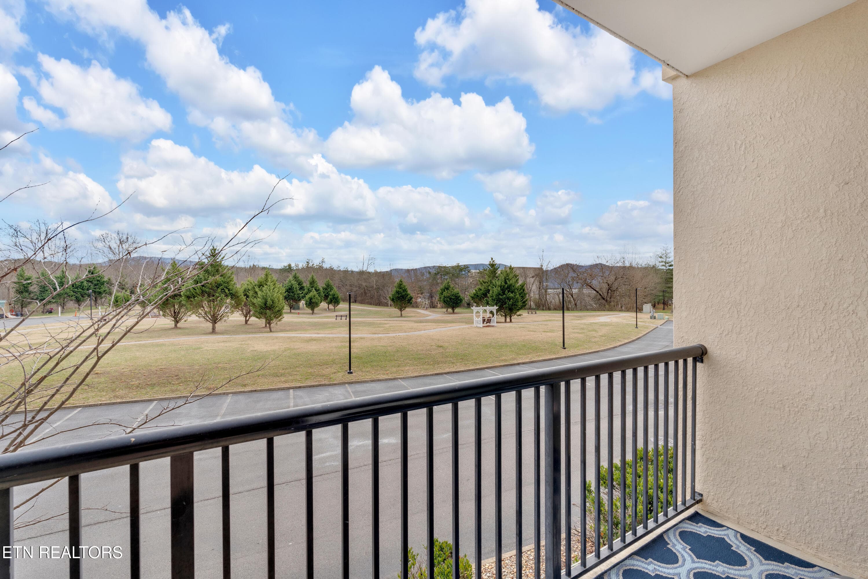 26-print-JH 20250104-058 - 124 Plaza Drive UNIT 3203, Pigeon Forge, TN 37863, Pigeon Forge