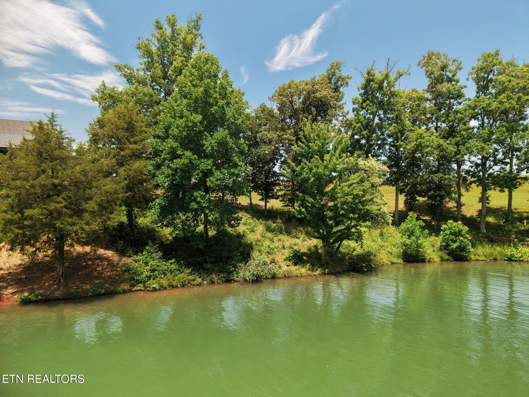 14-web-or-mls-043--FULL - 403 Careen Court, Lenoir City, TN 37772, Lenoir City