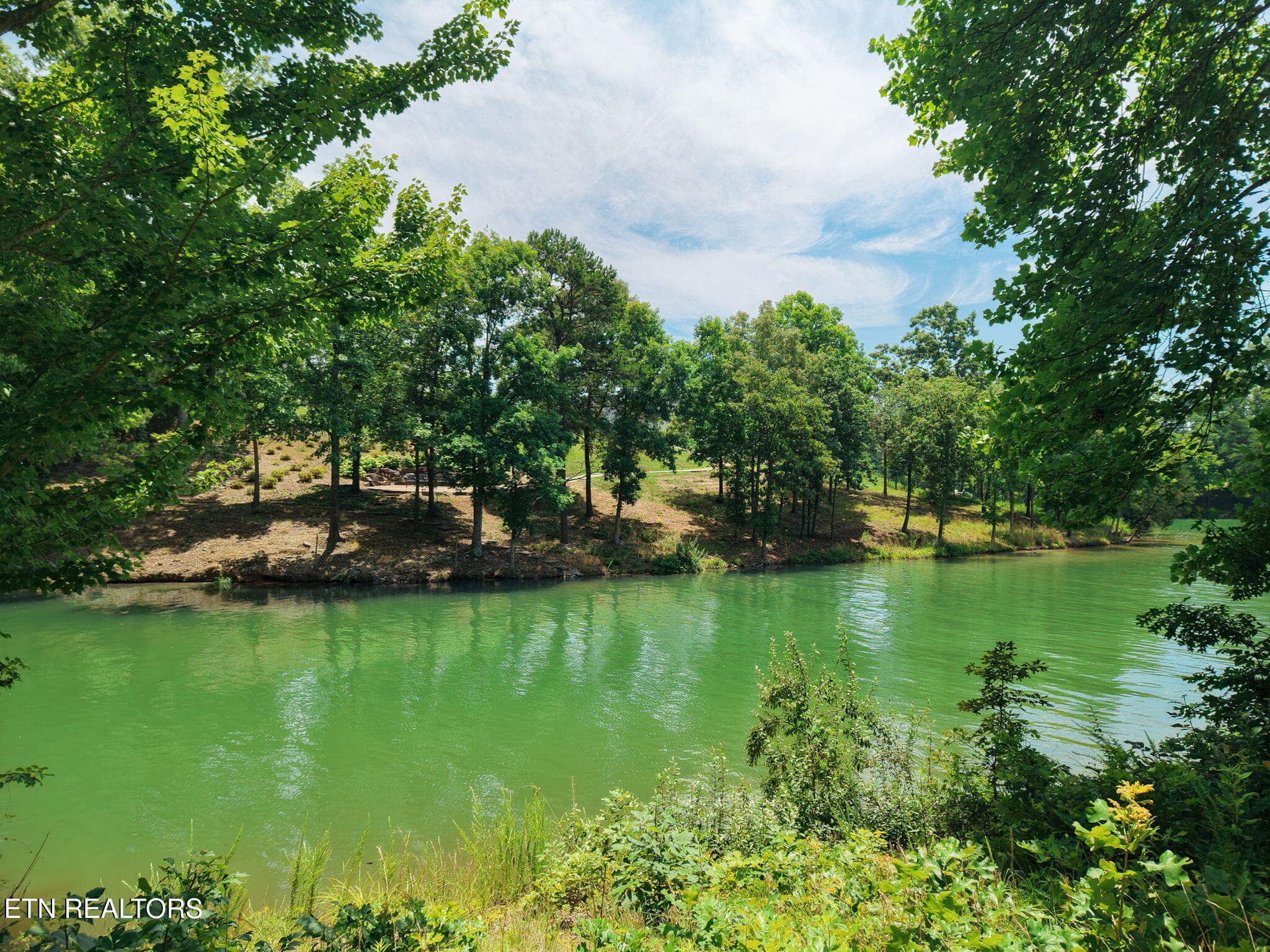 1-web-or-mls-044--FULL - 259 Careen Court, Lenoir City, TN 37772, Lenoir City