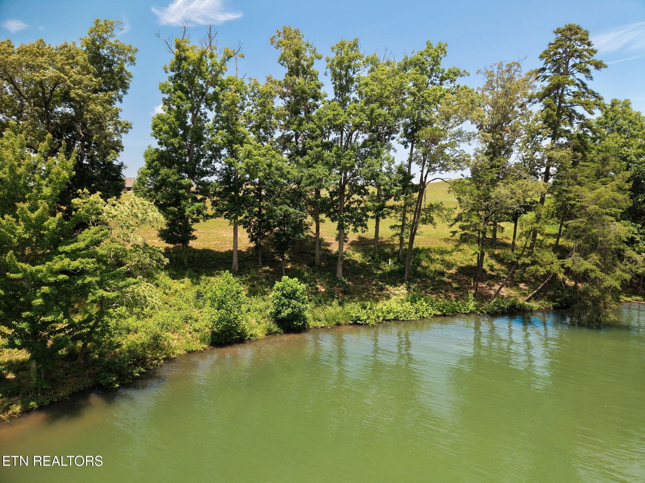16-web-or-mls-059--FULL - 259 Careen Court, Lenoir City, TN 37772, Lenoir City
