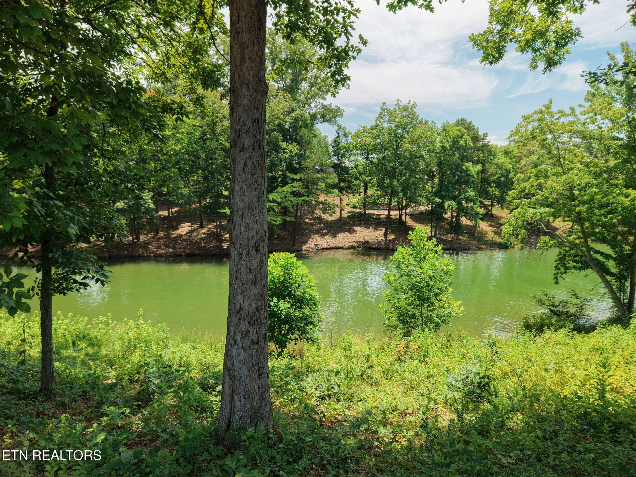 17-web-or-mls-060--FULL - 259 Careen Court, Lenoir City, TN 37772, Lenoir City