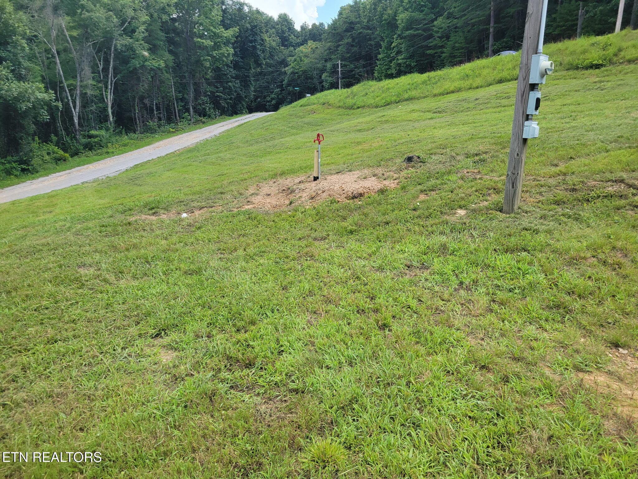 1000014801 - 135 Garren Hart Lane, Spring City, TN 37381