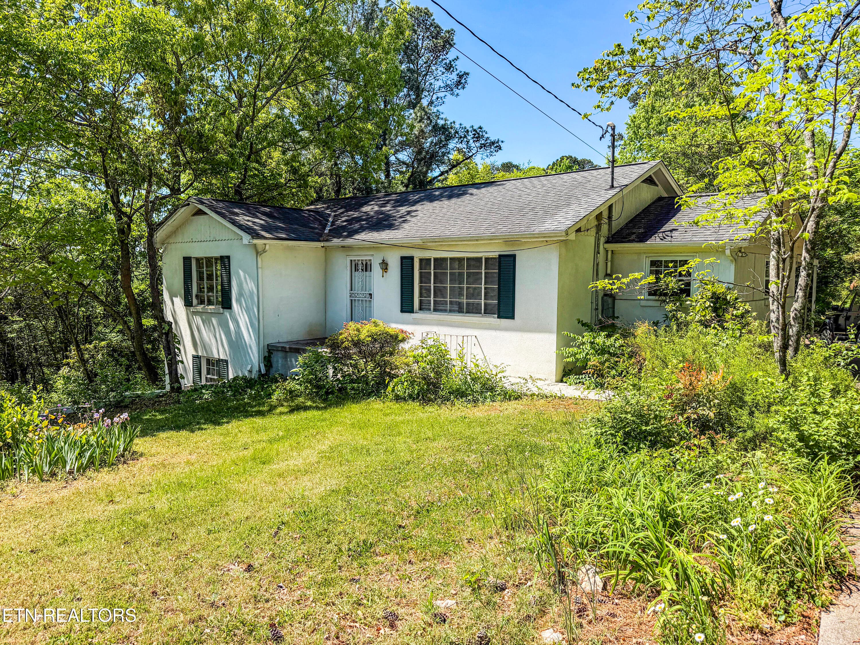 6-IMG_2534 - 7137 Dan Rose Rd, Knoxville, TN 37920