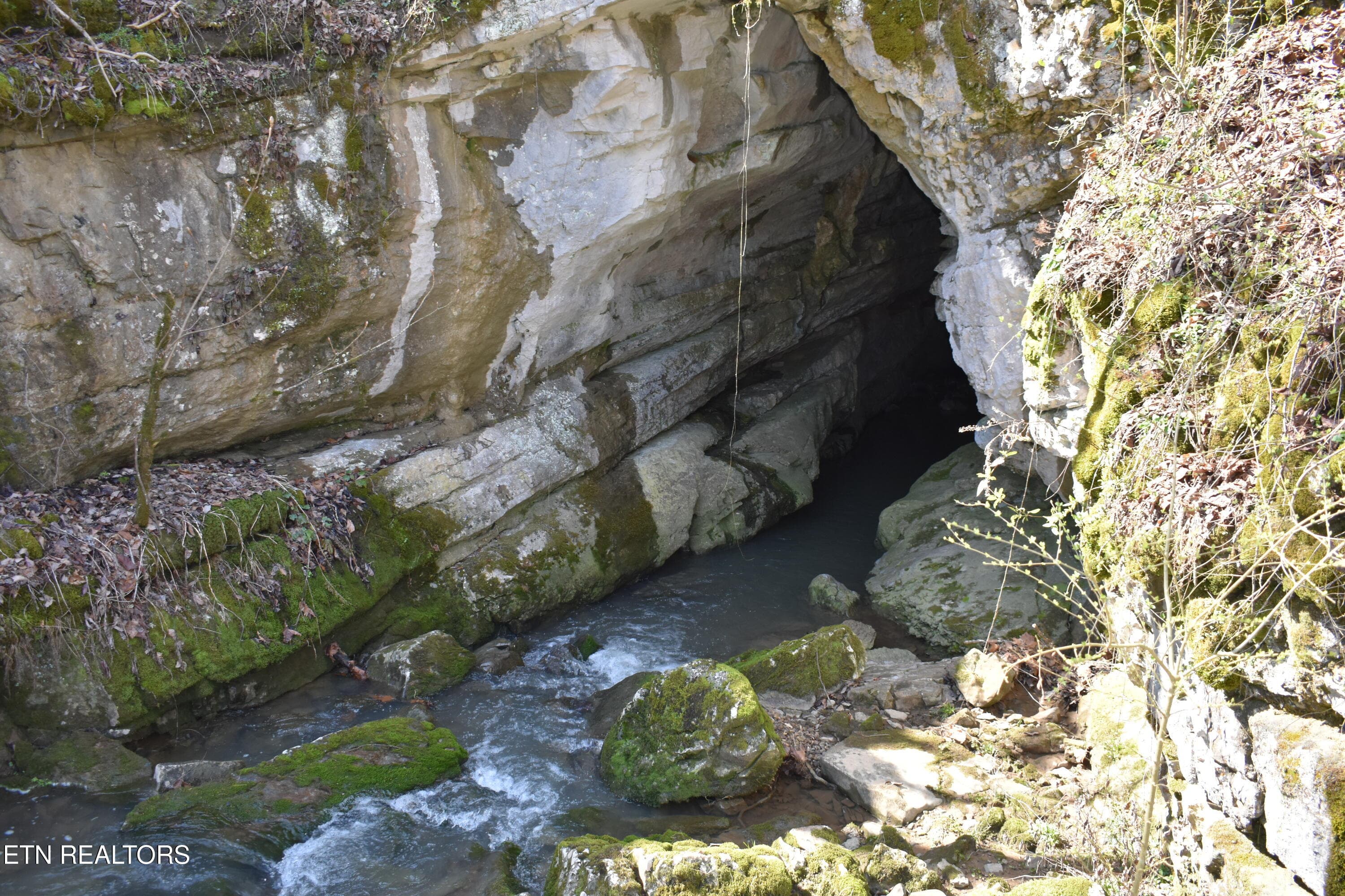 DSC_0743 - 2645 Cedar Fork Rd, Tazewell, TN 37879