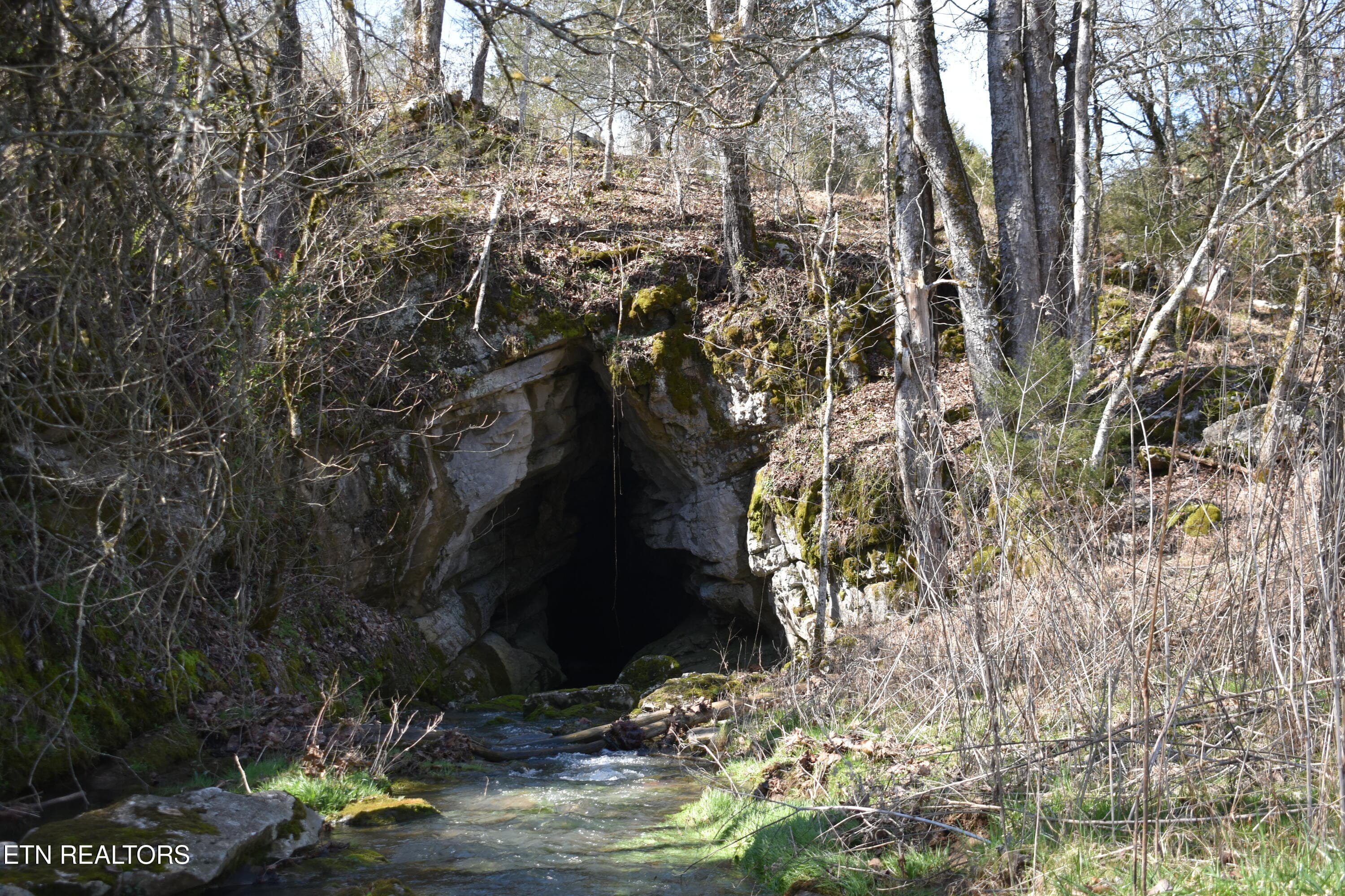 DSC_0747 - 2645 Cedar Fork Rd, Tazewell, TN 37879