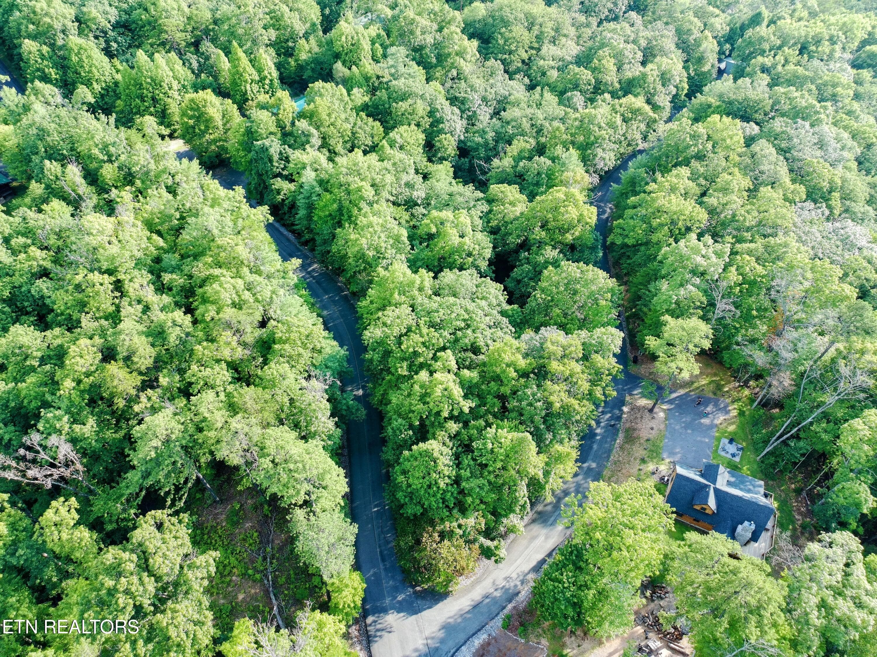 PTSC_0057-EDIT - Buck Board Lane, Sevierville, TN 37862