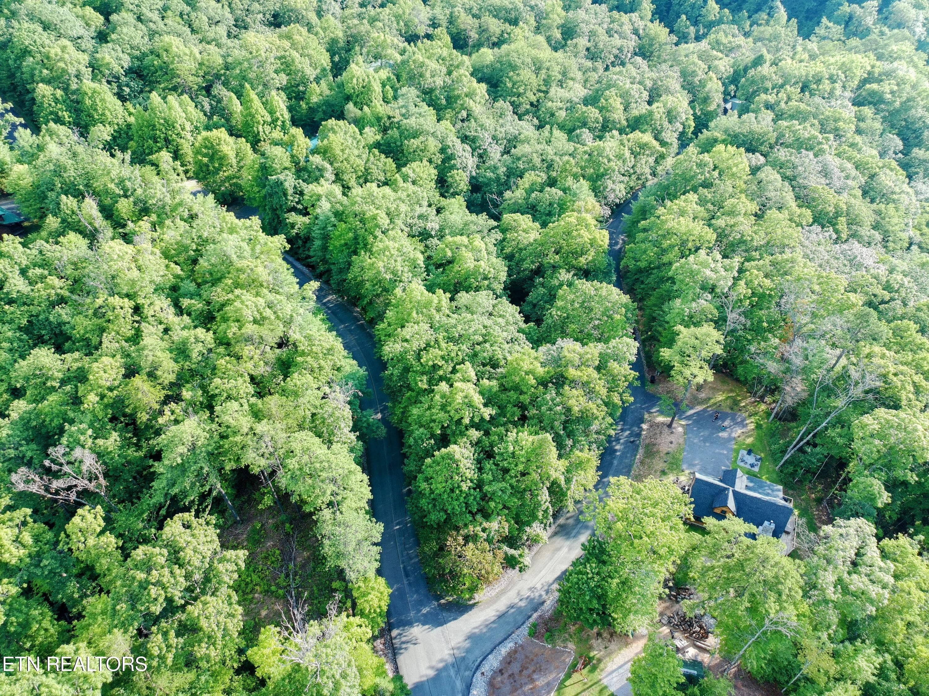 PTSC_0058-EDIT - Buck Board Lane, Sevierville, TN 37862