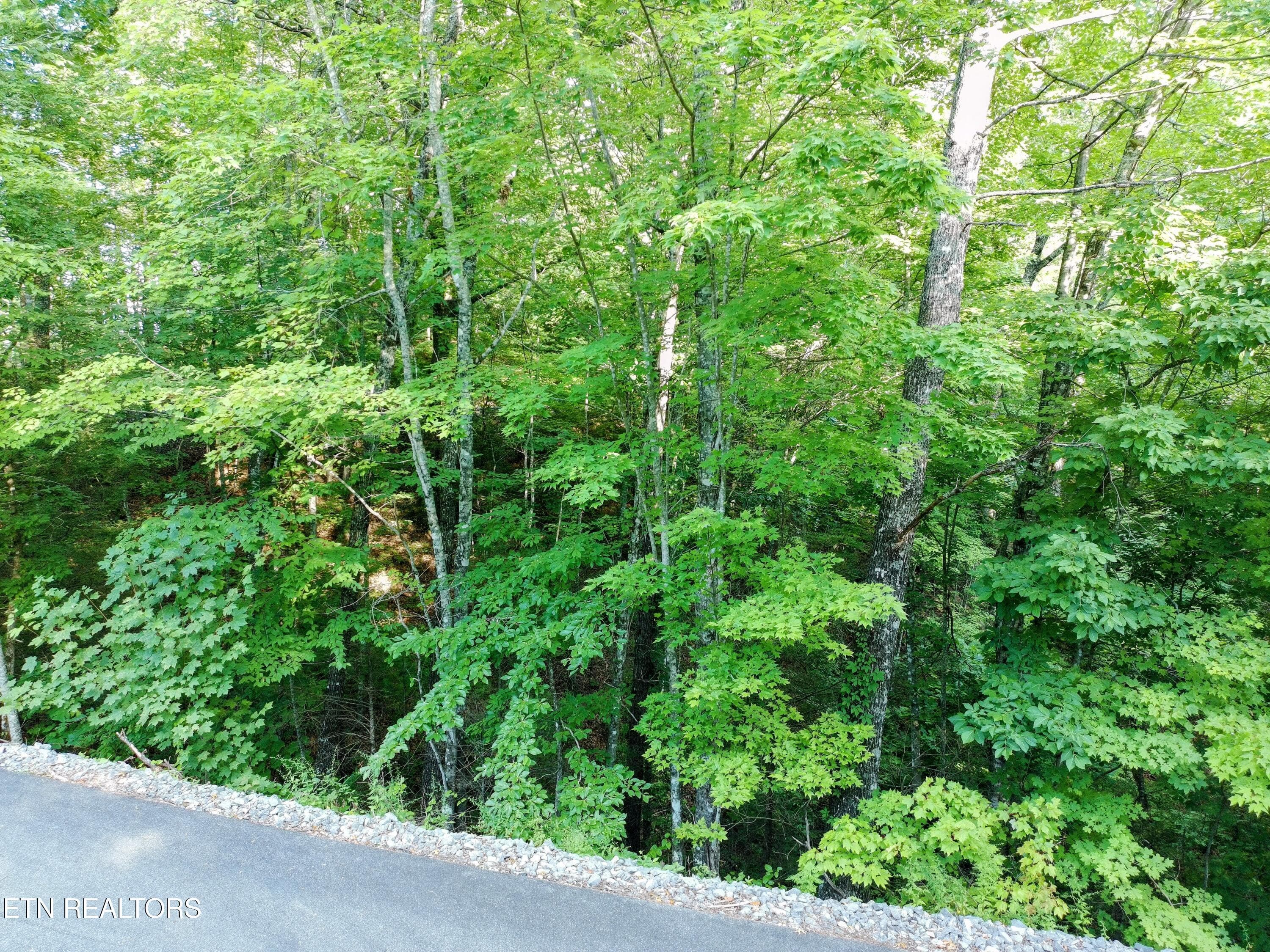 PTSC_0061-EDIT - Buck Board Lane, Sevierville, TN 37862