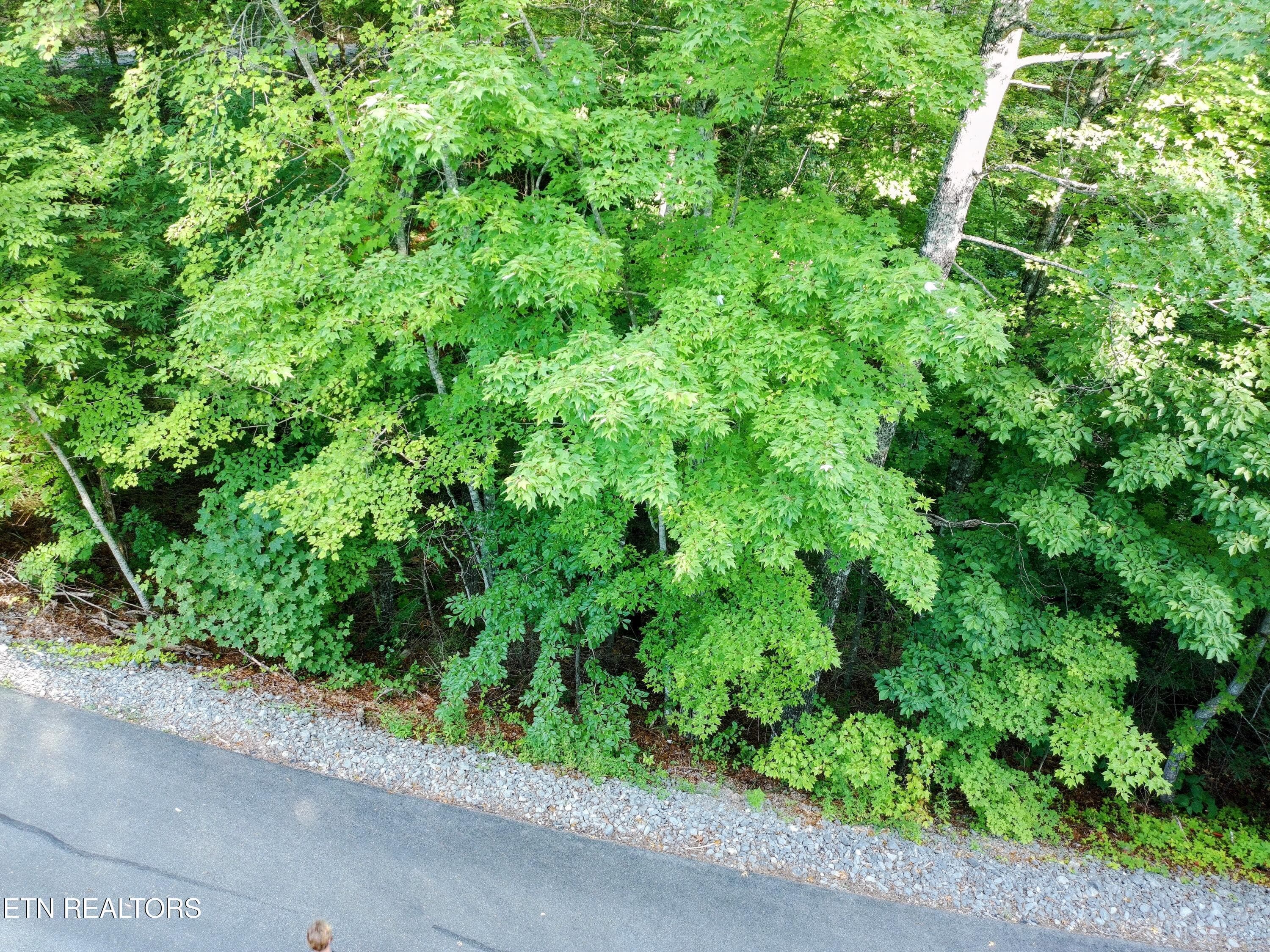 PTSC_0062-EDIT - Buck Board Lane, Sevierville, TN 37862