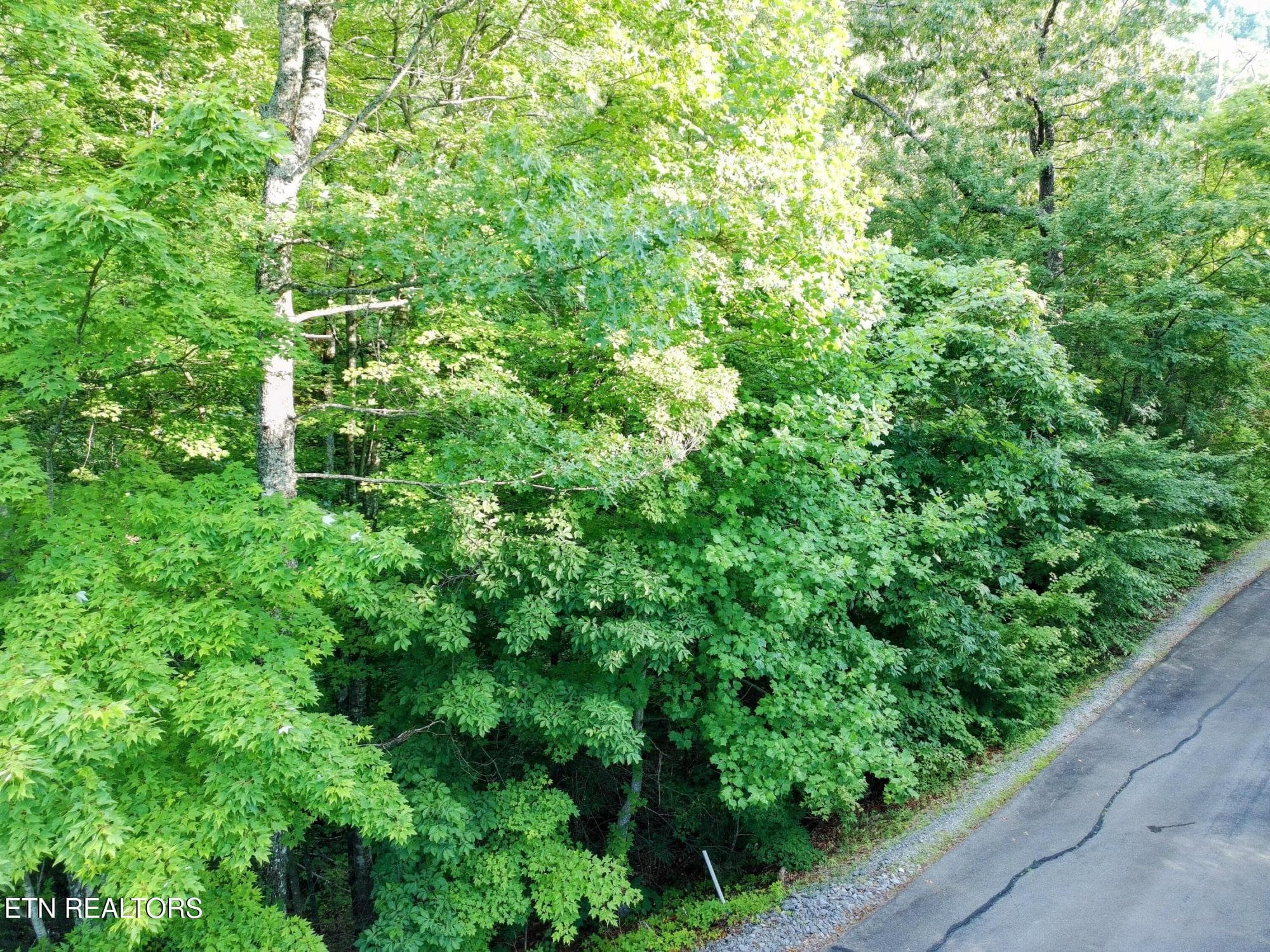 PTSC_0064-EDIT - Buck Board Lane, Sevierville, TN 37862