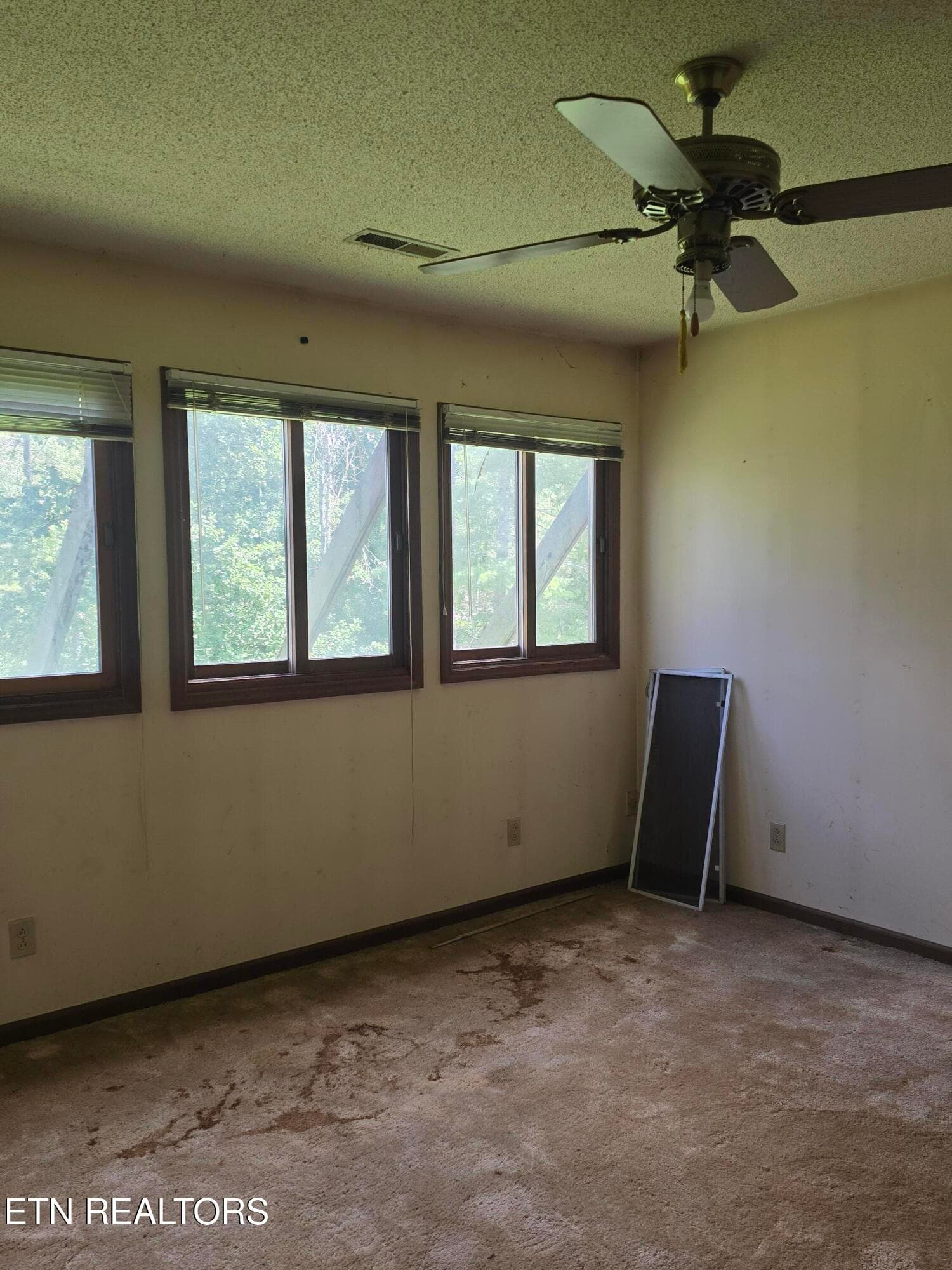 20260720_135526 - 228 Marcella Rd, Cumberland Gap, TN 37724