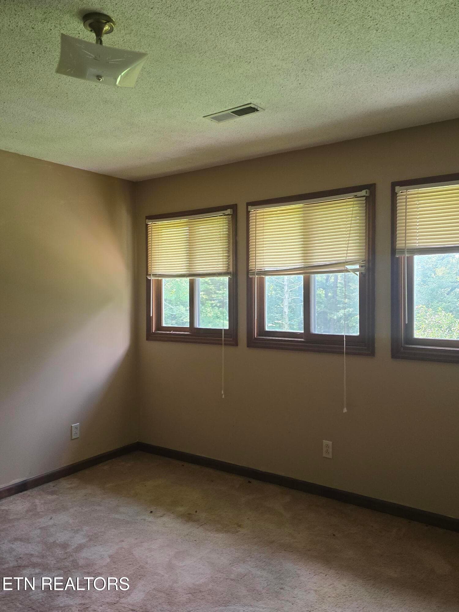 20260720_135531 - 228 Marcella Rd, Cumberland Gap, TN 37724