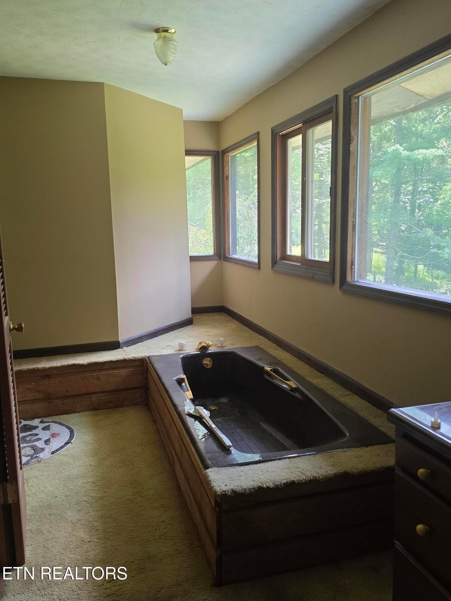 20260720_135611 - 228 Marcella Rd, Cumberland Gap, TN 37724