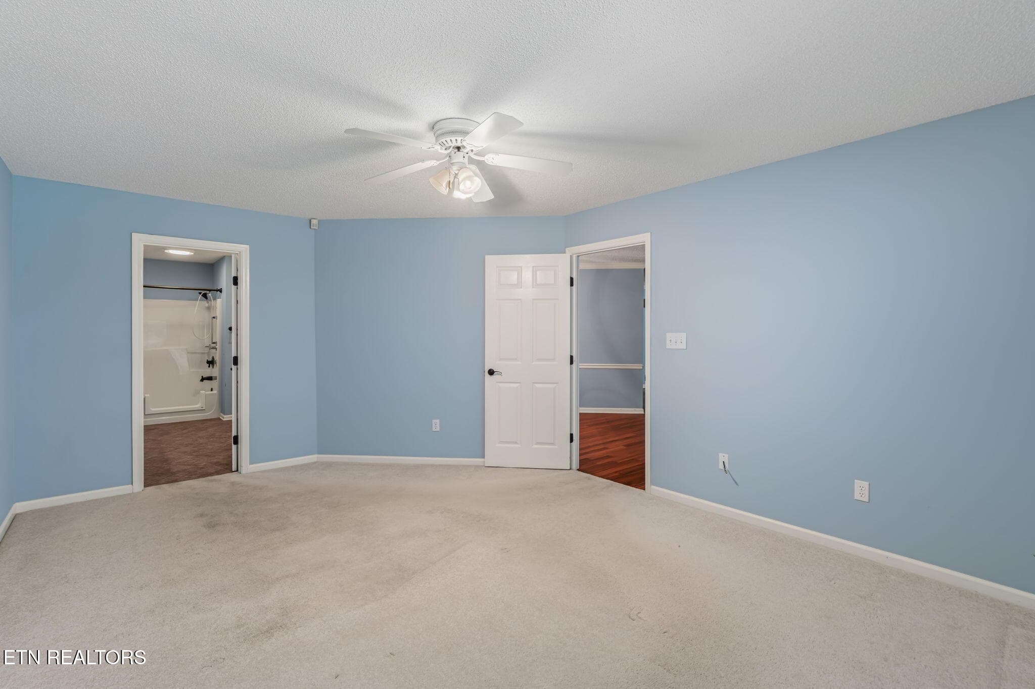 Master Suite - 715 Cedar Lane 102, Knoxville, TN 37912