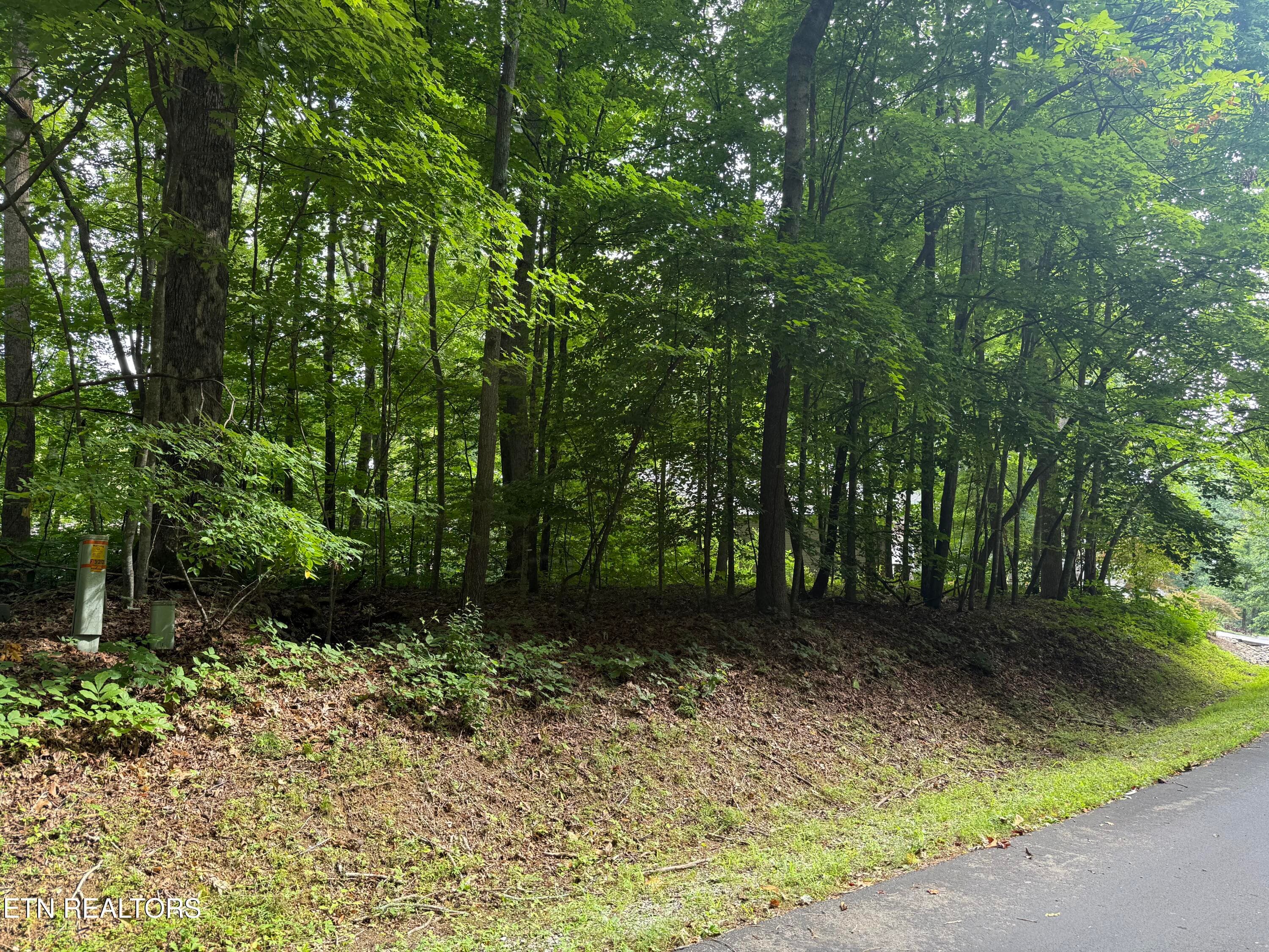 IMG_4326 - 324 Dudala Point, Loudon, TN 37774