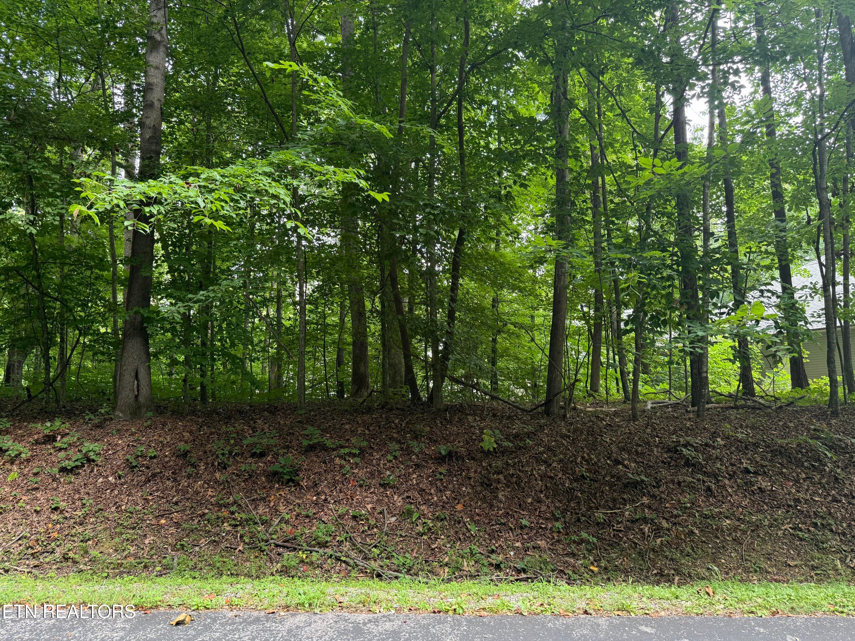 324 Dudala Point, Loudon, TN 37774