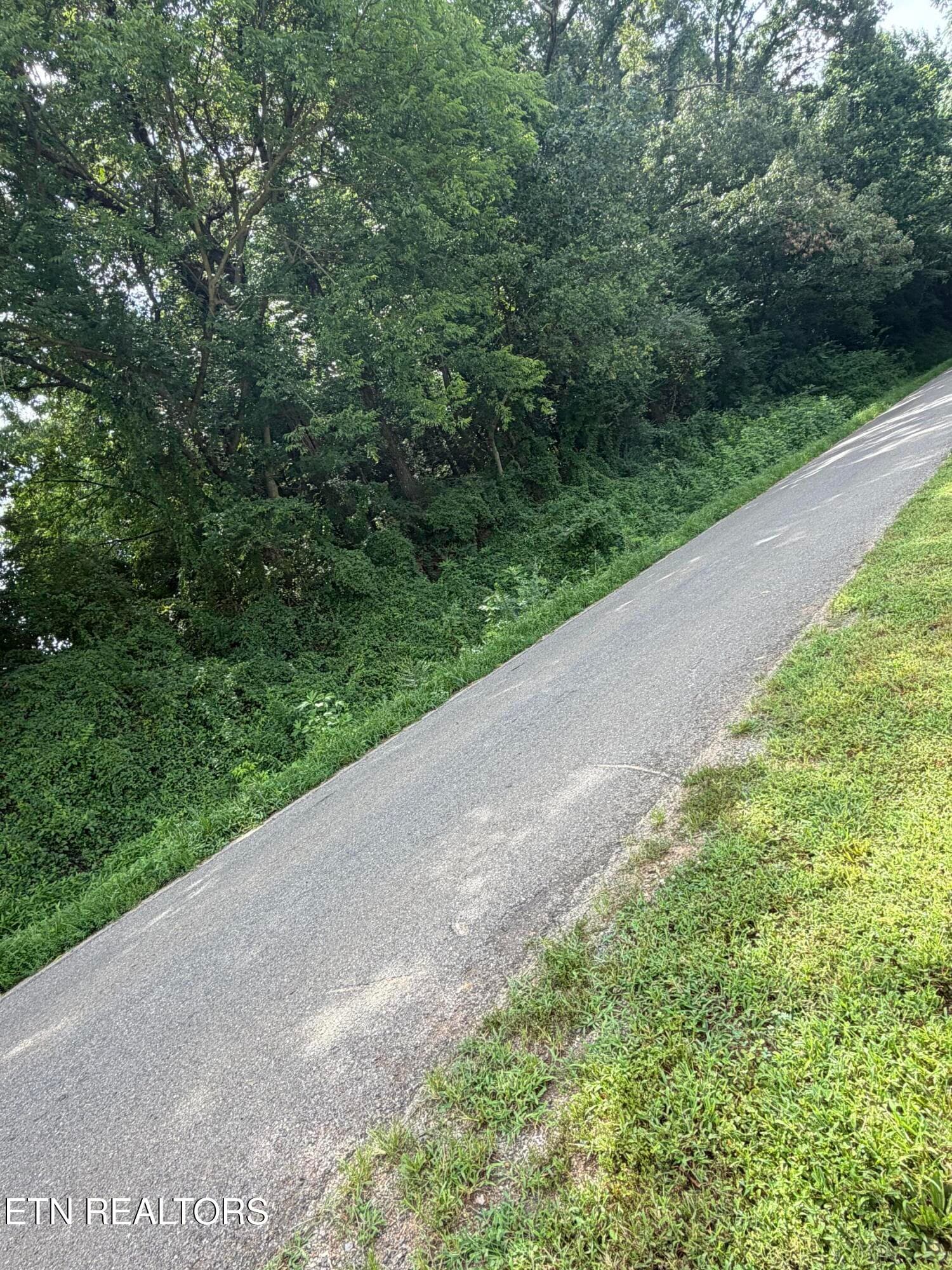 IMG_2178 - 1.43 ac Randolph Fridley Rd, Sweetwater, TN 37874