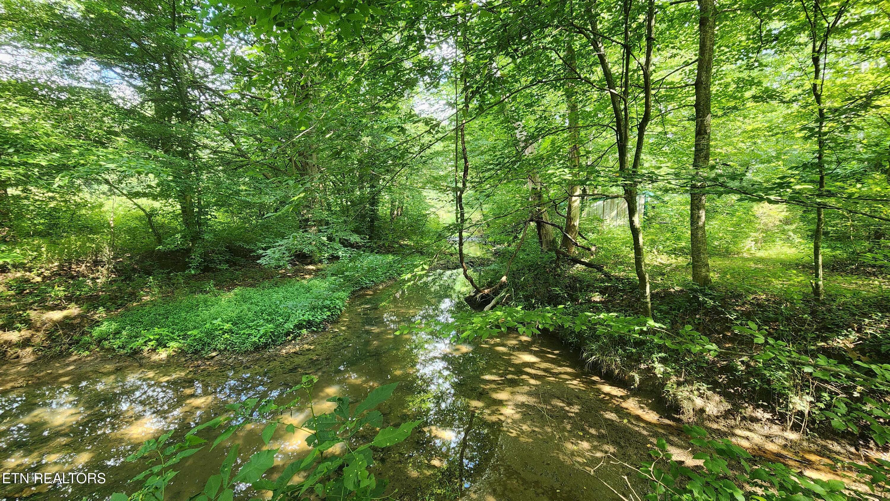305 christain community rd -- Creek 2 - 340 Christian Community Rd, Livingston, TN 38570