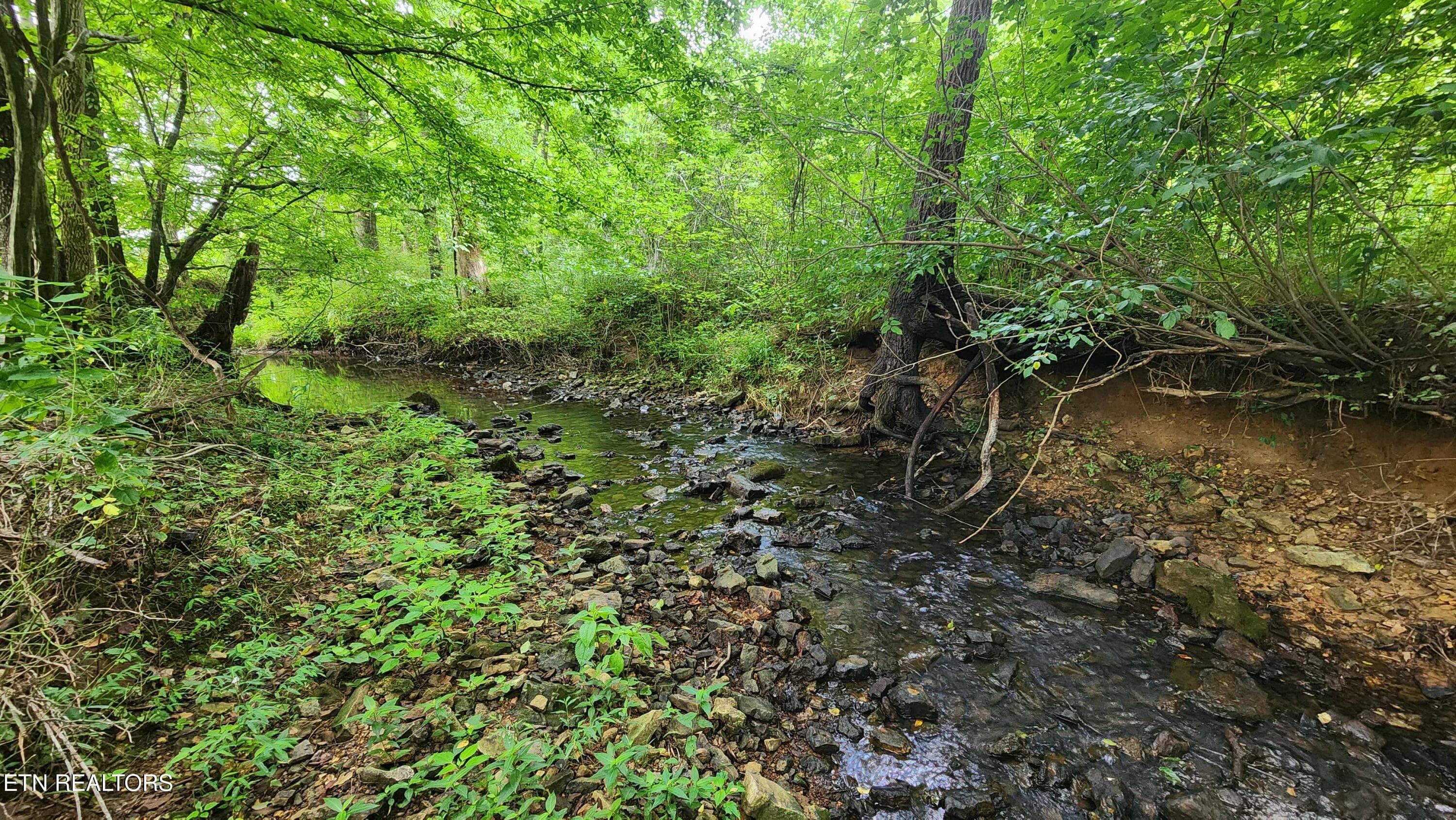 305 christain community rd -- creek 6 - 340 Christian Community Rd, Livingston, TN 38570