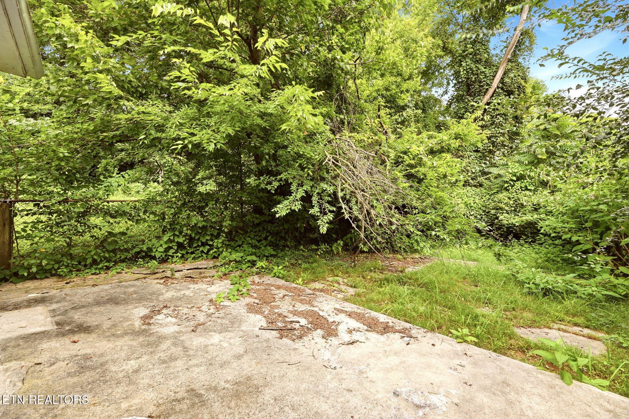 19-web-or-mls-Brown 2541 (18) - 2541 Brown Ave, Knoxville, TN 37917, Knoxville