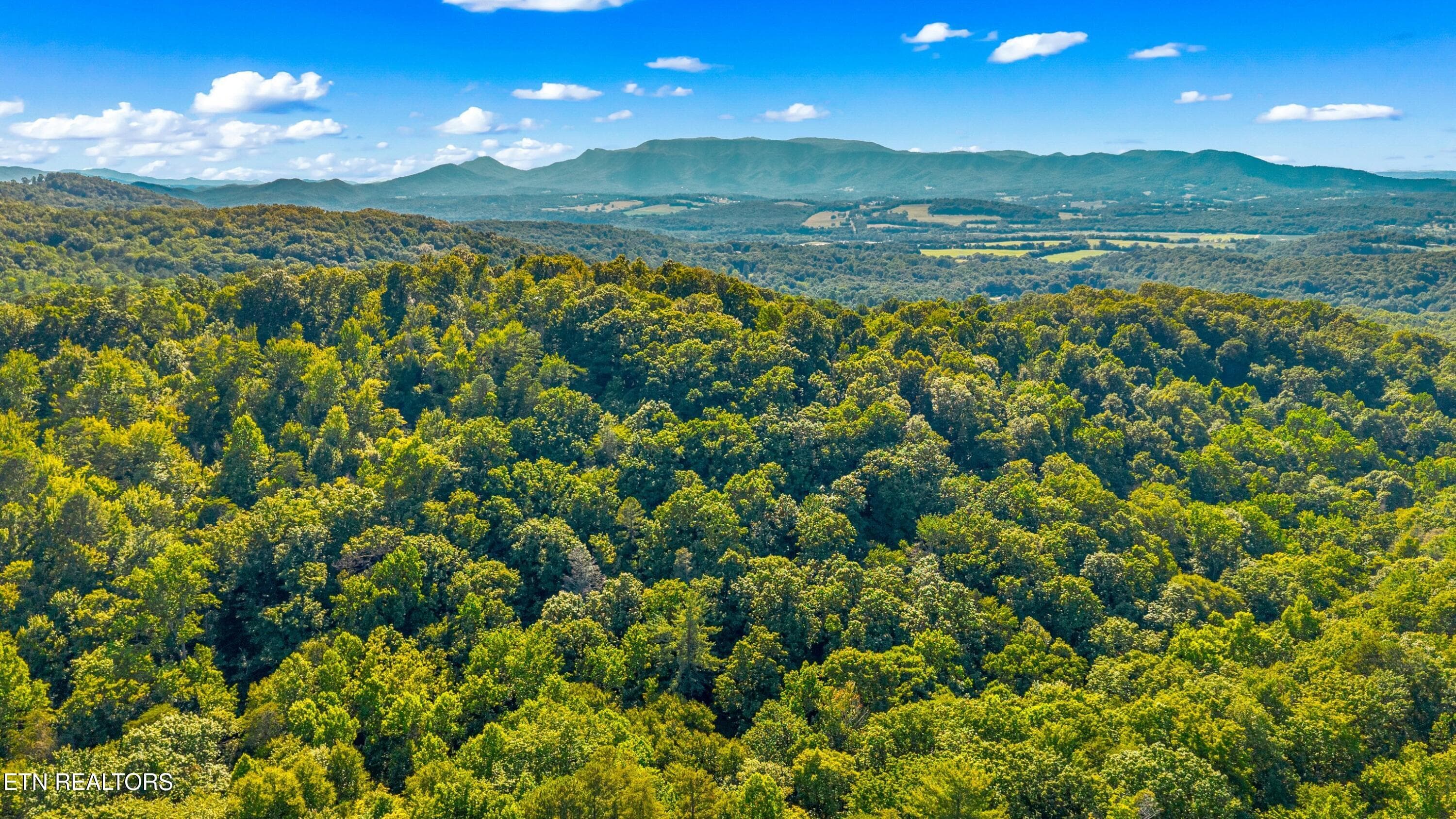 Main - 15 Acres Halls Top Rd, Newport, TN 37821