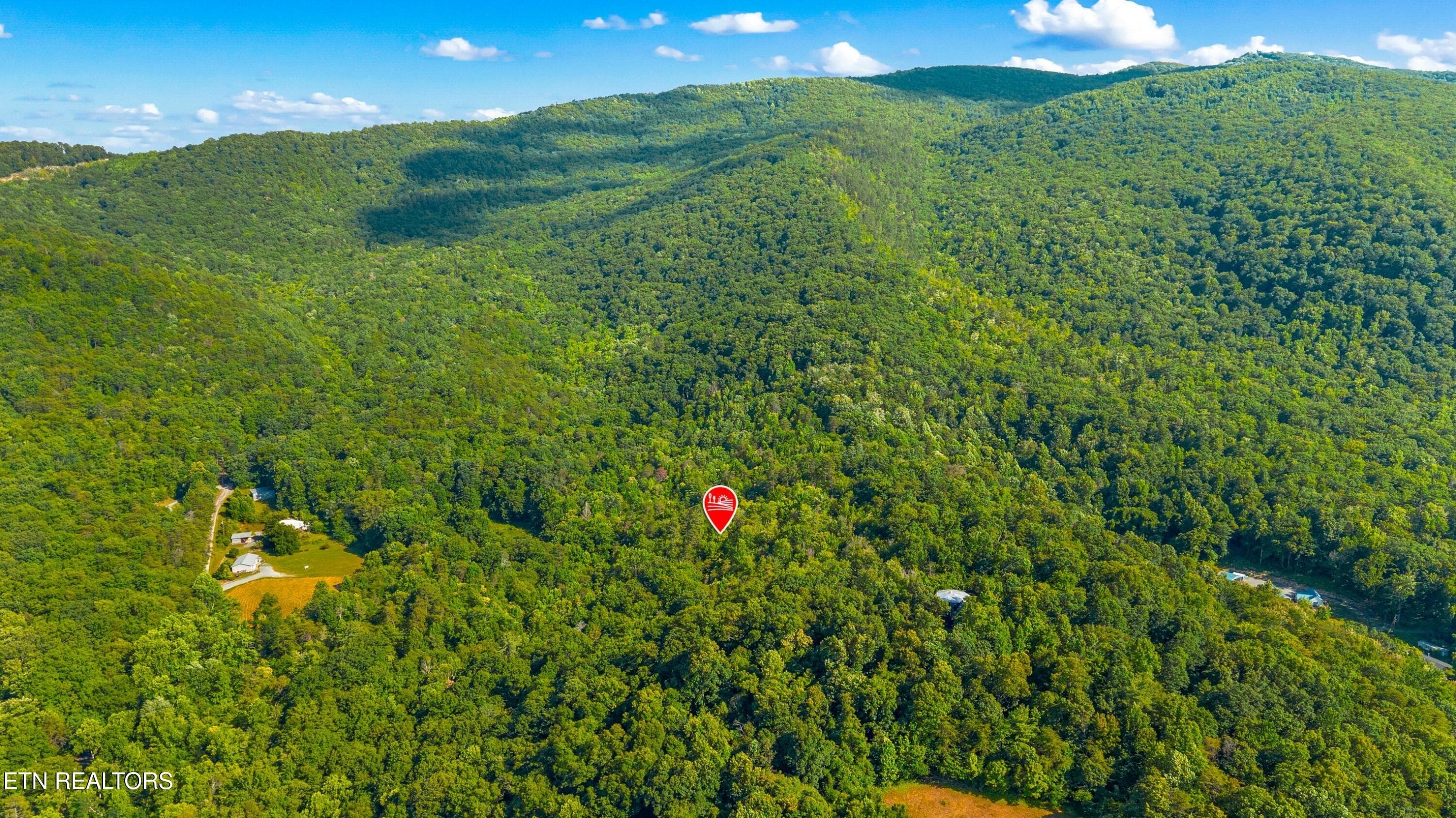 003-1549HallsTopRd-Newport-TN-37821-SMAL - 15 Acres Halls Top Rd, Newport, TN 37821