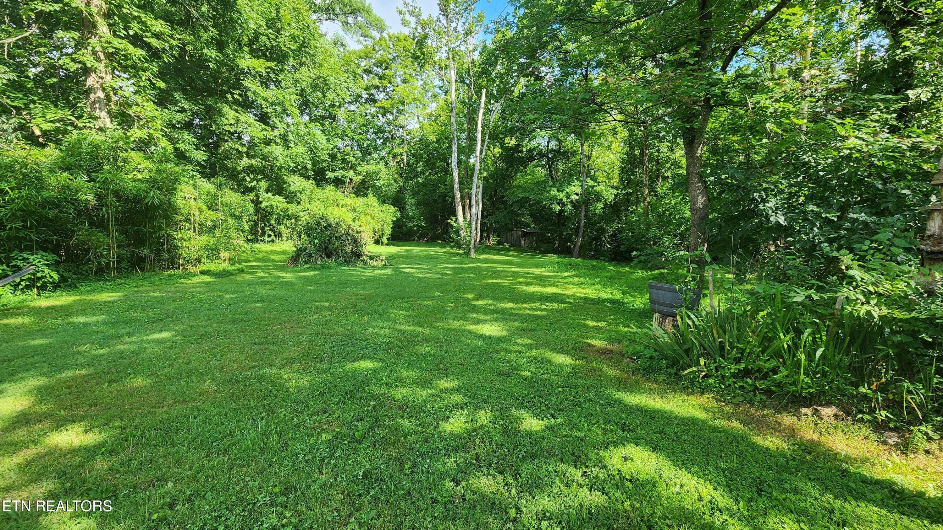 305 christain community rd -- Side yard - 340 Christian Community Rd, Livingston, TN 38570