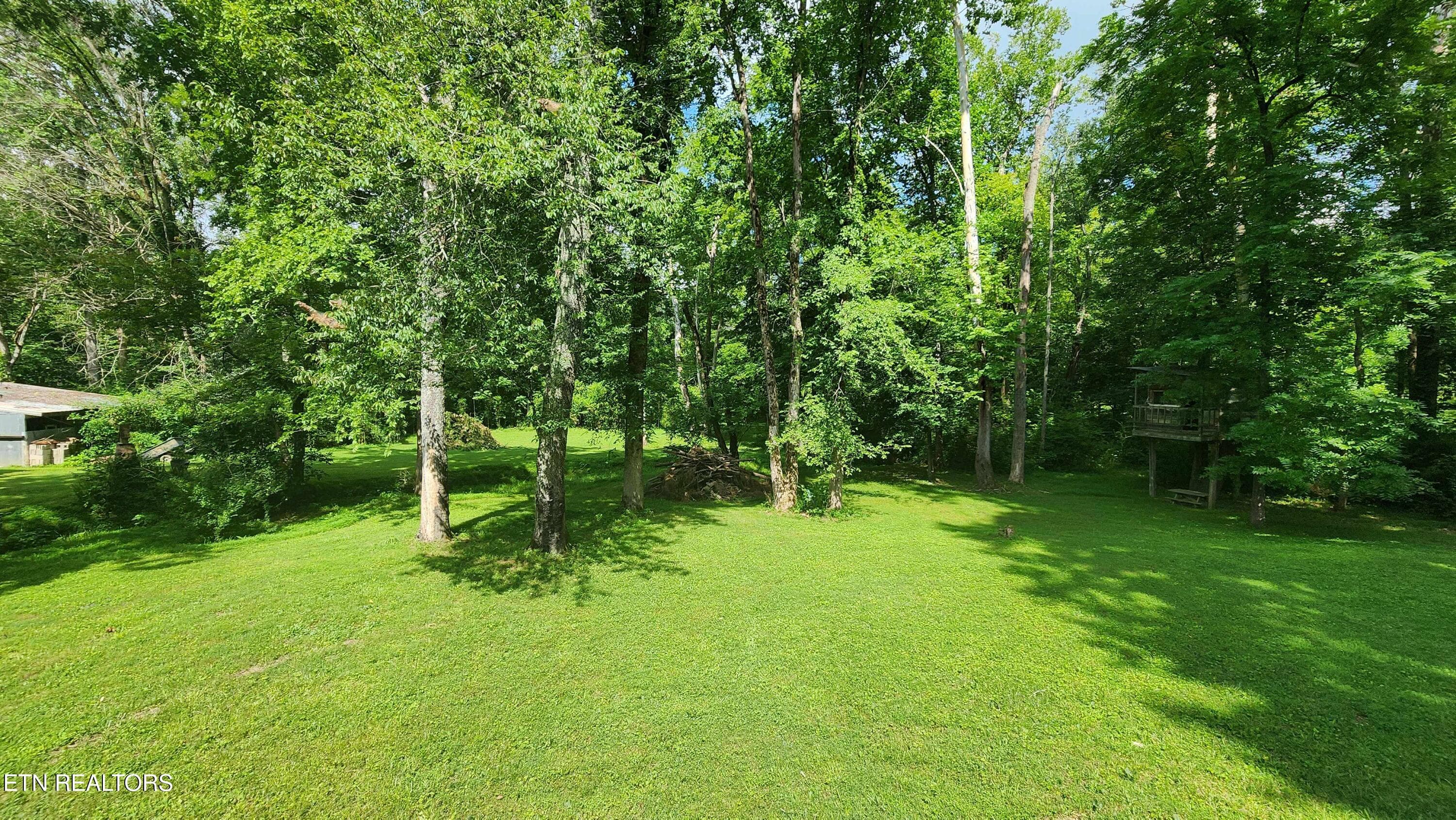 305 christain community rd -- Backyard 1 - 340 Christian Community Rd, Livingston, TN 38570