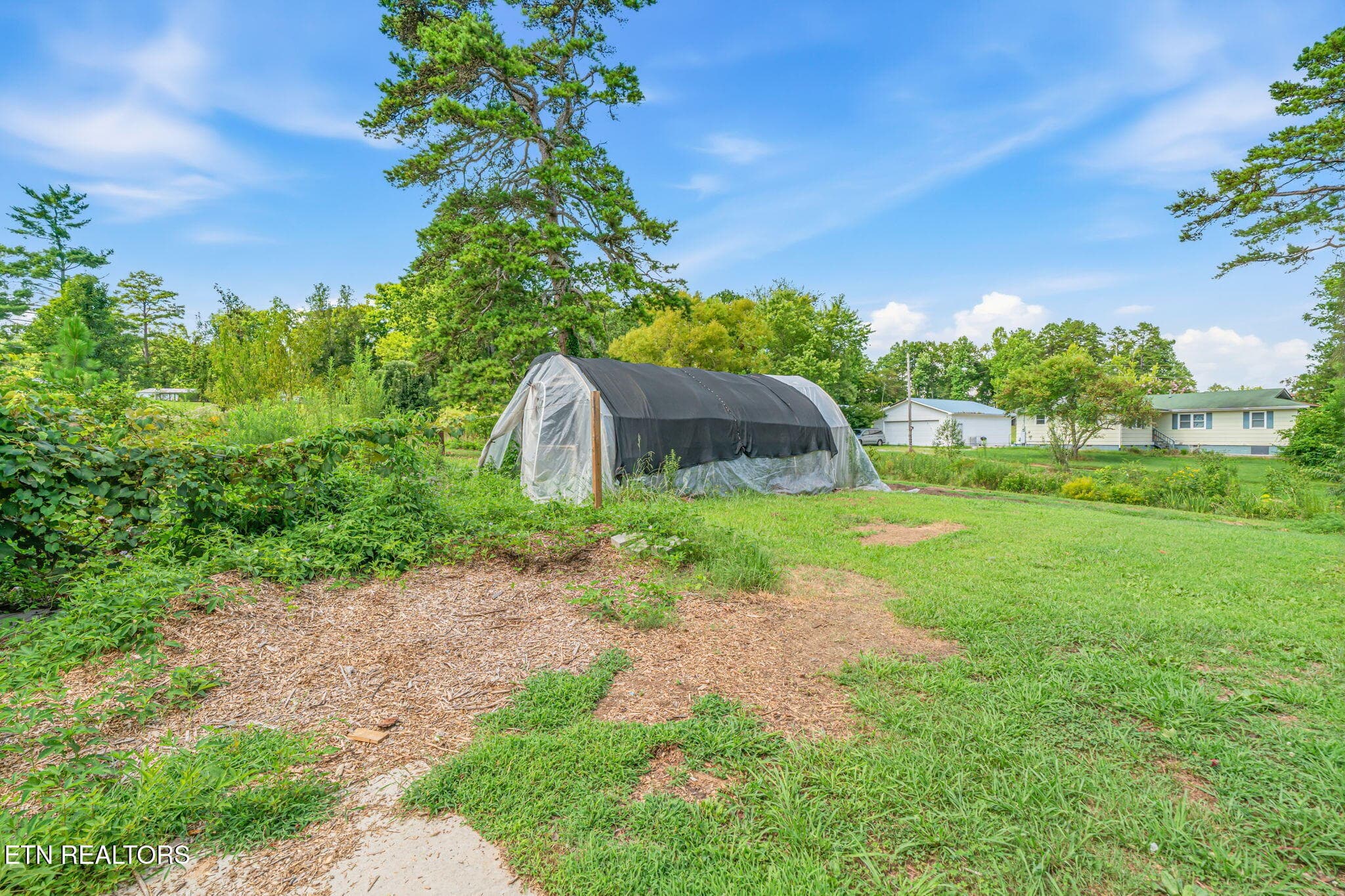 8-web-or-mls-231 Wright Road-7 - 231 Wright Rd, Oliver Springs, TN 37840, Oliver Springs