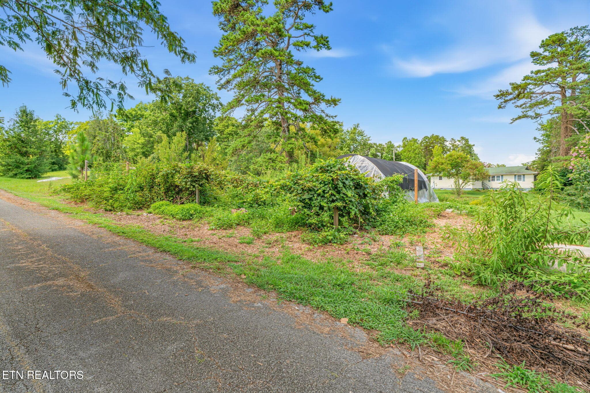 9-web-or-mls-231 Wright Road-8 - 231 Wright Rd, Oliver Springs, TN 37840, Oliver Springs