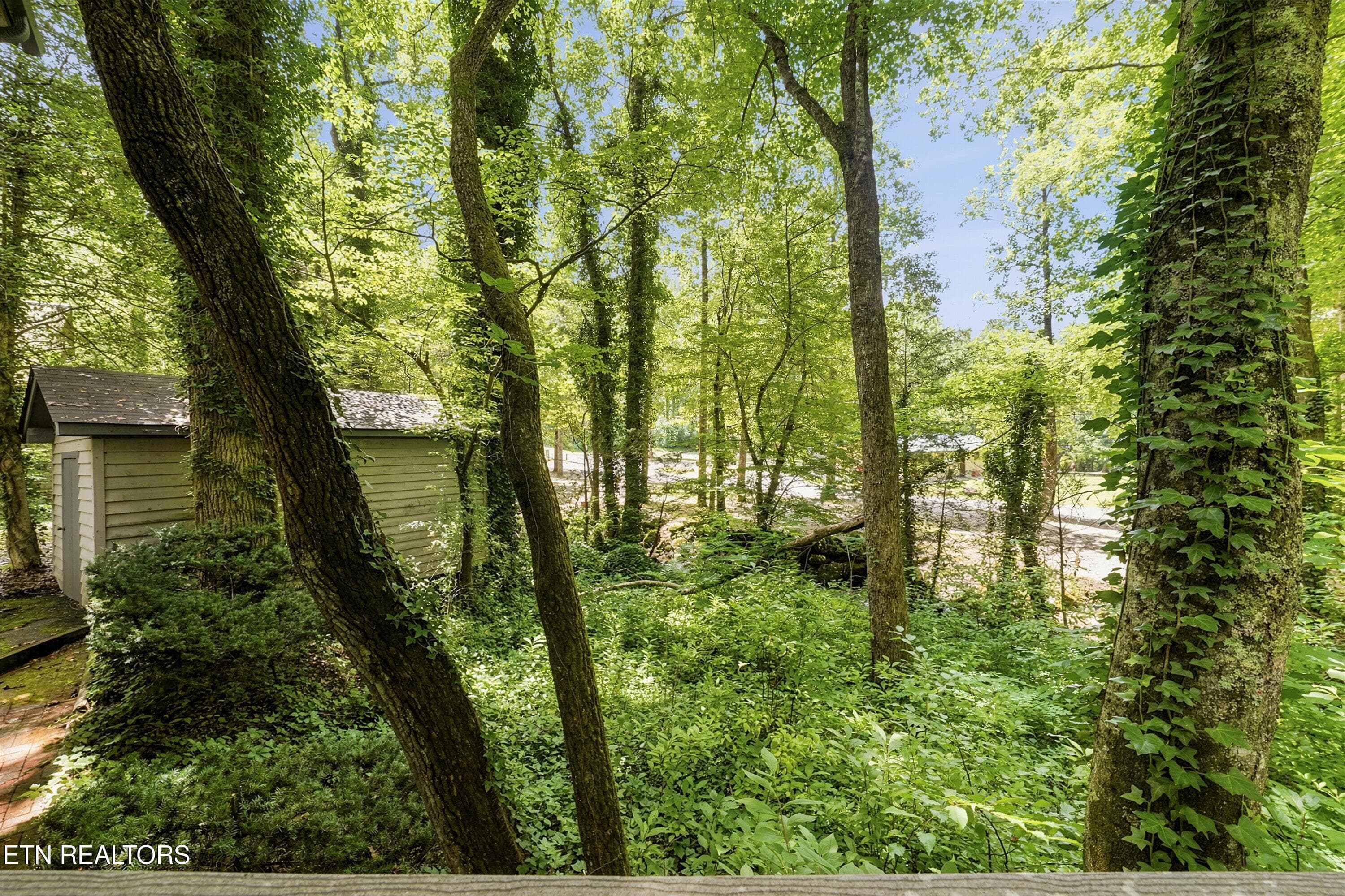 37-211 Webb Creek Skyline Dr40 - 211 Webb Creek Skyline Drive, Gatlinburg, TN 37738, Gatlinburg