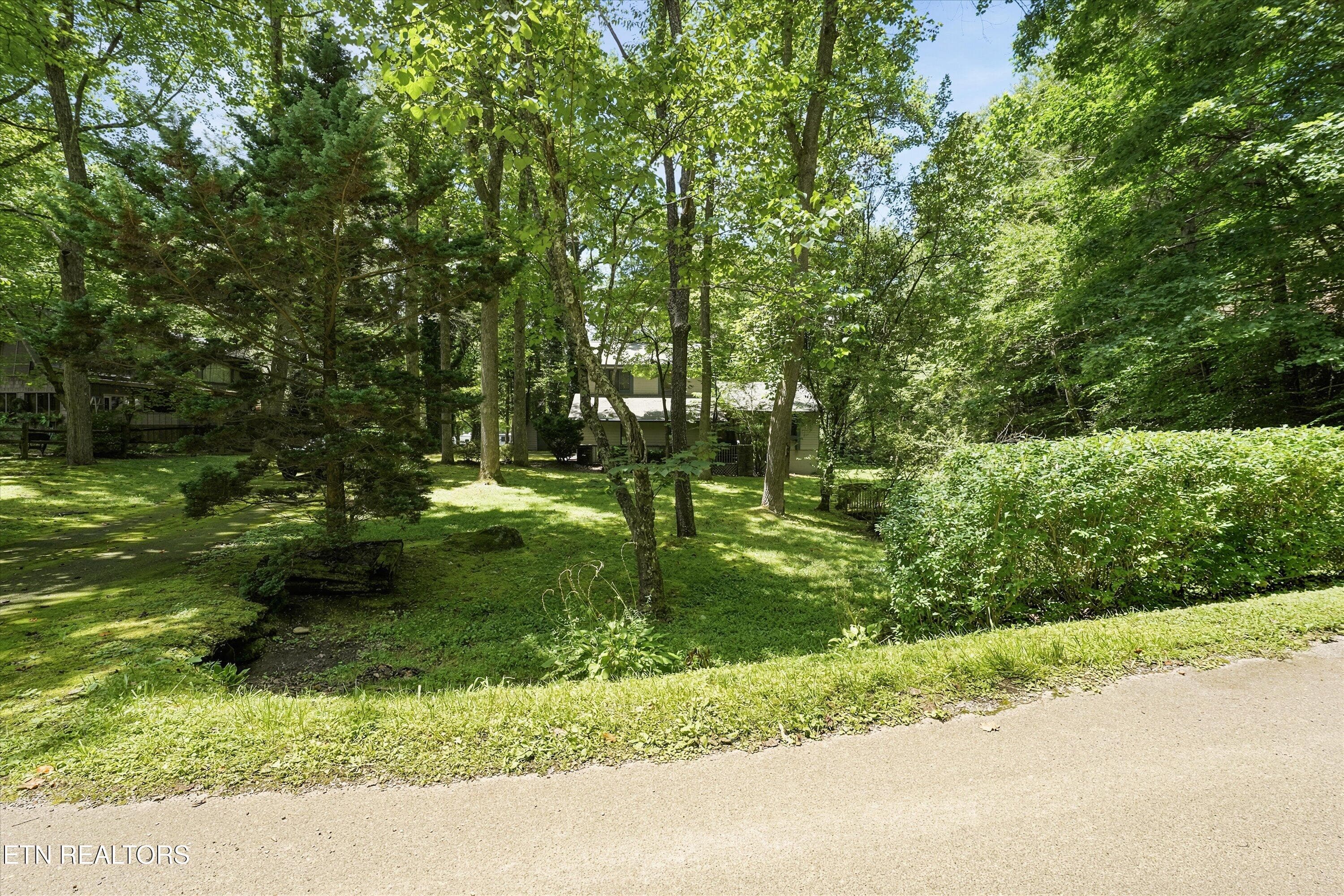 44-211 Webb Creek Skyline Dr46 - 211 Webb Creek Skyline Drive, Gatlinburg, TN 37738, Gatlinburg
