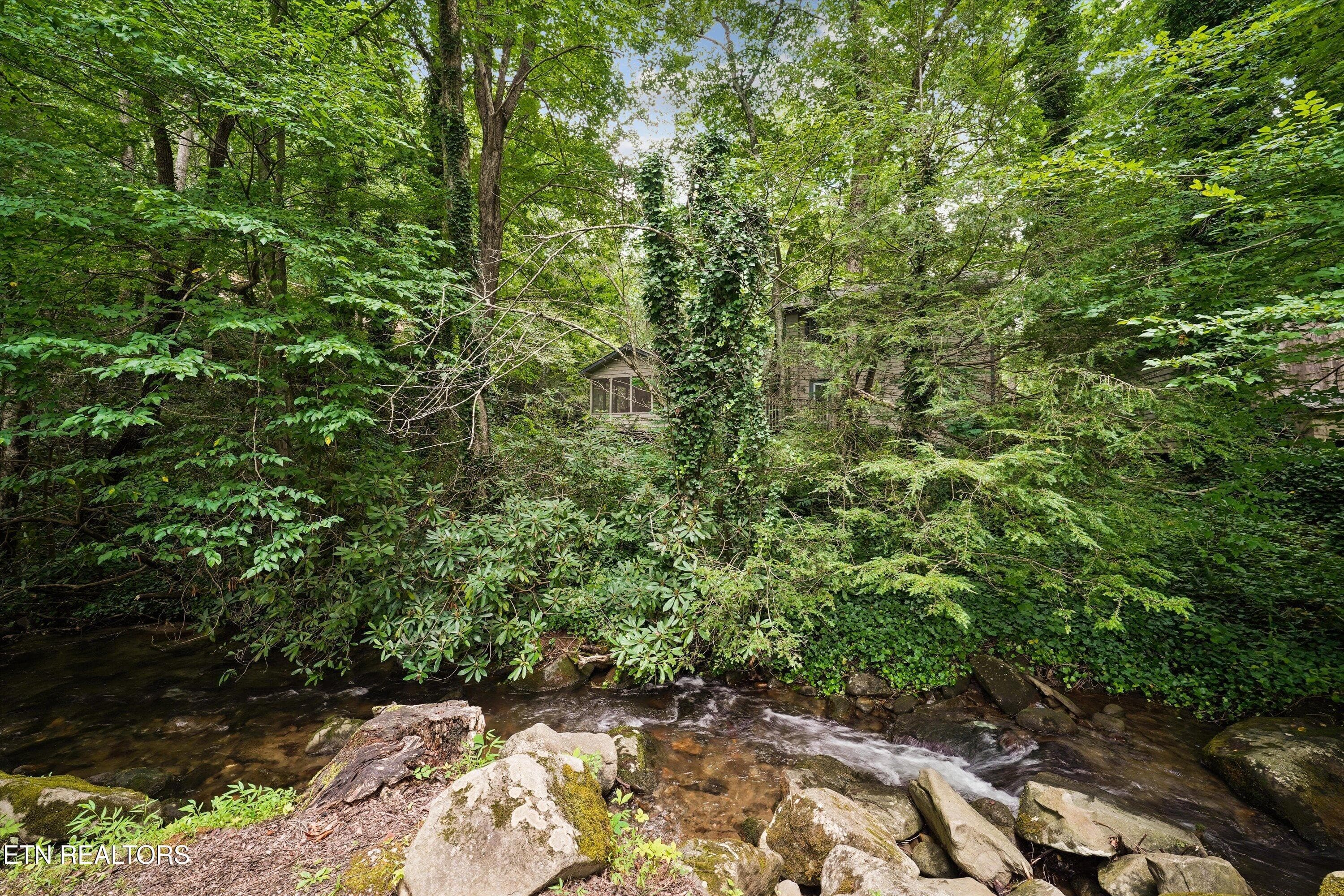 47-211 Webb Creek Skyline Dr50 - 211 Webb Creek Skyline Drive, Gatlinburg, TN 37738, Gatlinburg
