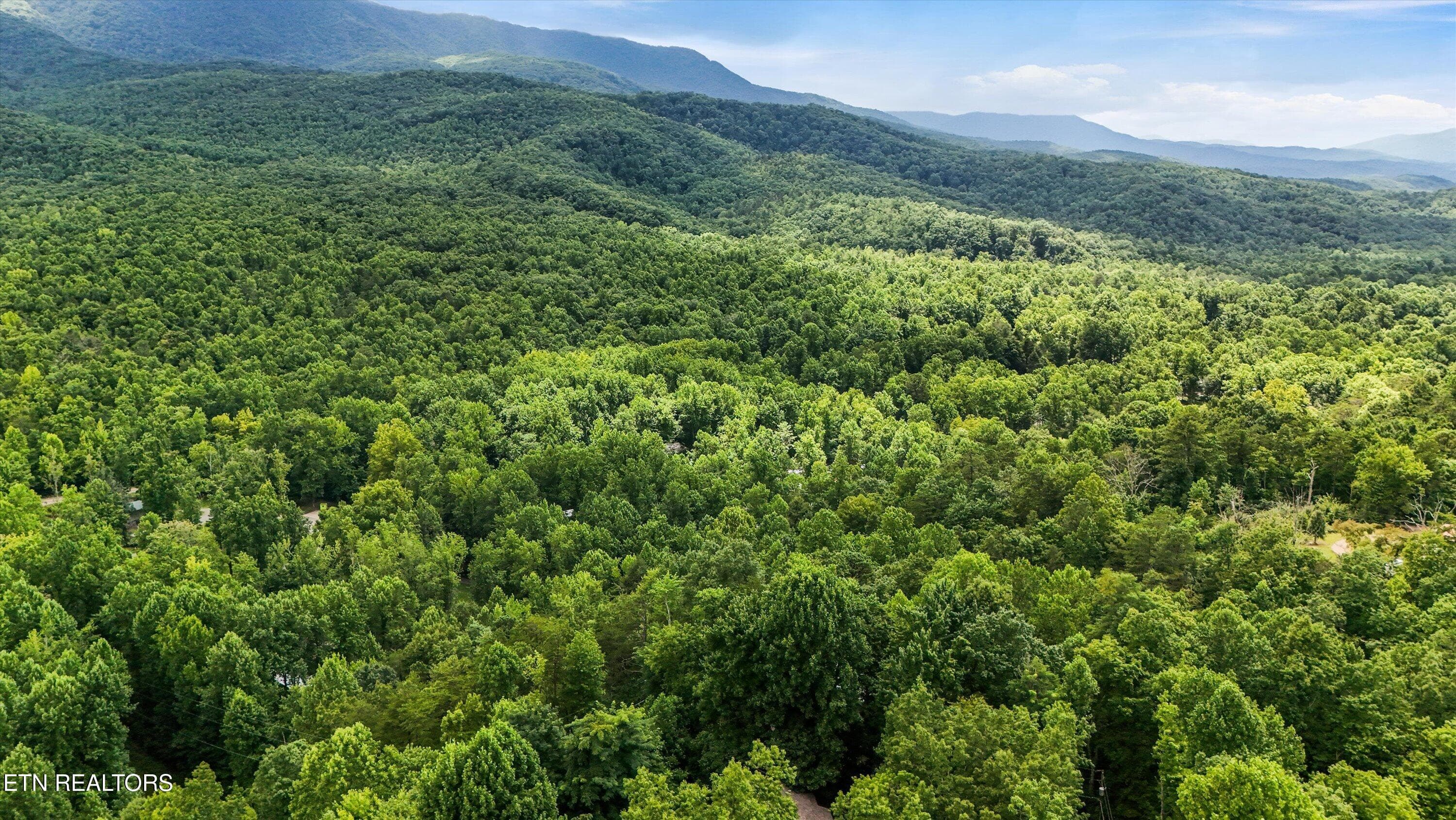 51-211 Webb Creek Skyline Dr07 - 211 Webb Creek Skyline Drive, Gatlinburg, TN 37738, Gatlinburg