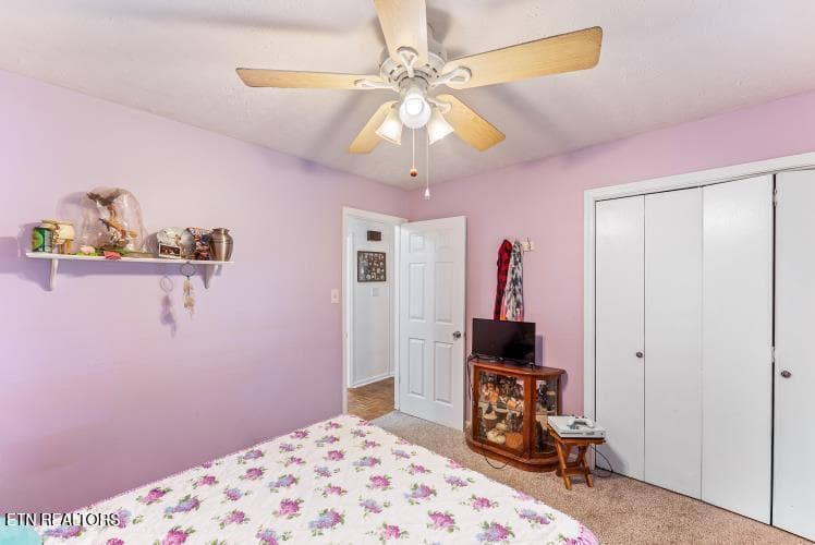 e9vxyufssl - 7765 Maida Vale Circle, Powell, TN 37849