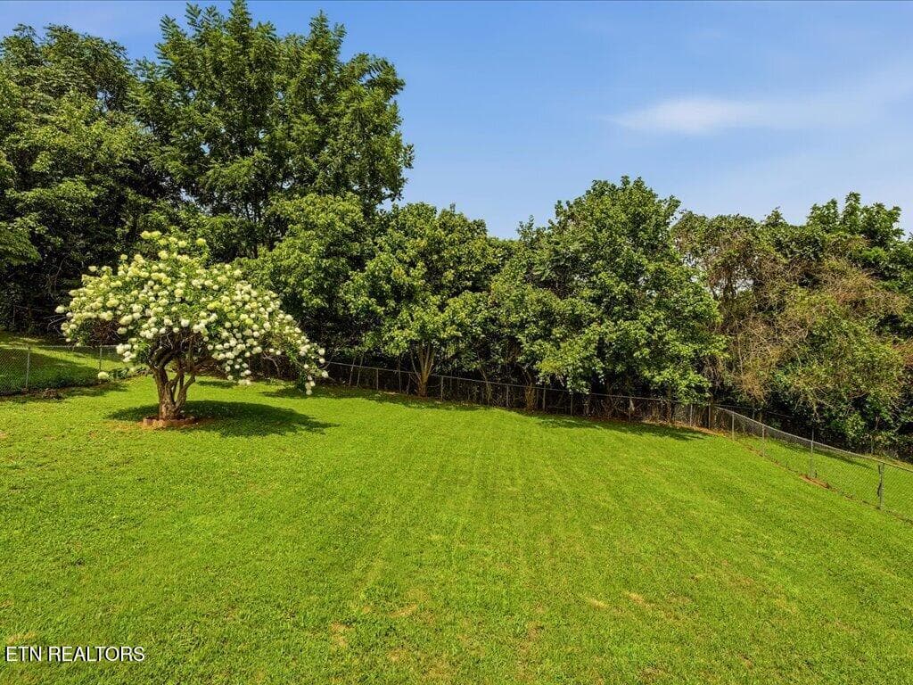 1241 Taylor Rd - 30 - 1241 Taylor Rd, Morristown, TN 37814