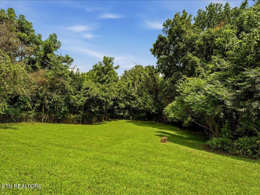 1241 Taylor Rd - 31 - 1241 Taylor Rd, Morristown, TN 37814