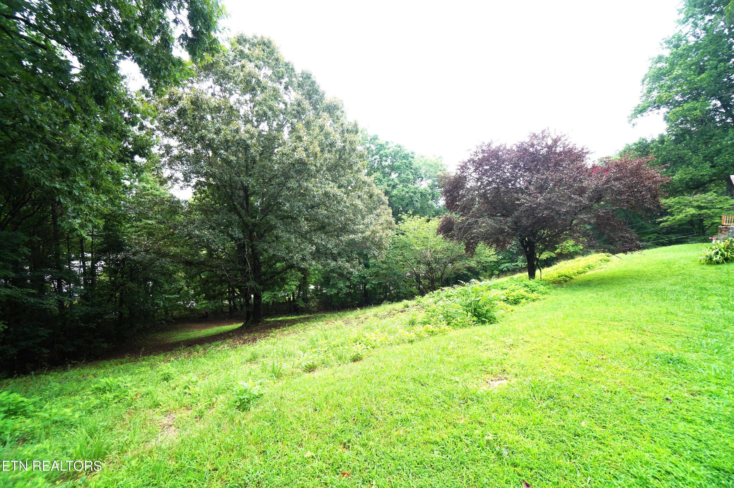 john sevier - garrigan (54) - 2101 W Governor John Sevier Hwy, Knoxville, TN 37920