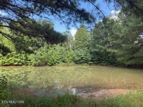 IMG_4568 - 00 Puncheon Creek Lane, Allred, TN 38542