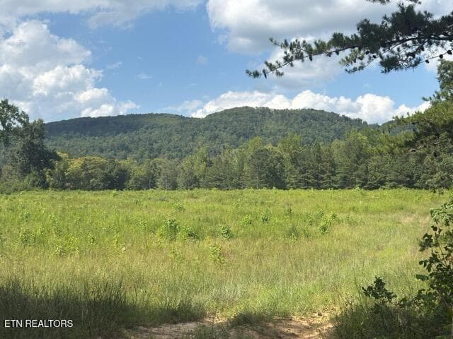 IMG_4569 - 00 Puncheon Creek Lane, Allred, TN 38542