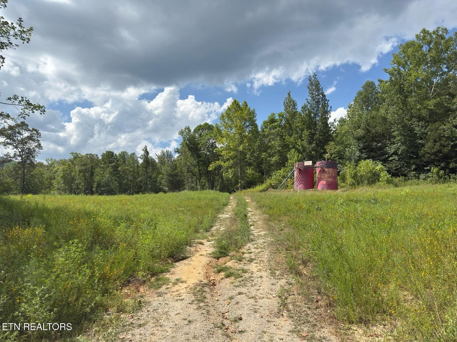 IMG_4580 - 00 Puncheon Creek Lane, Allred, TN 38542