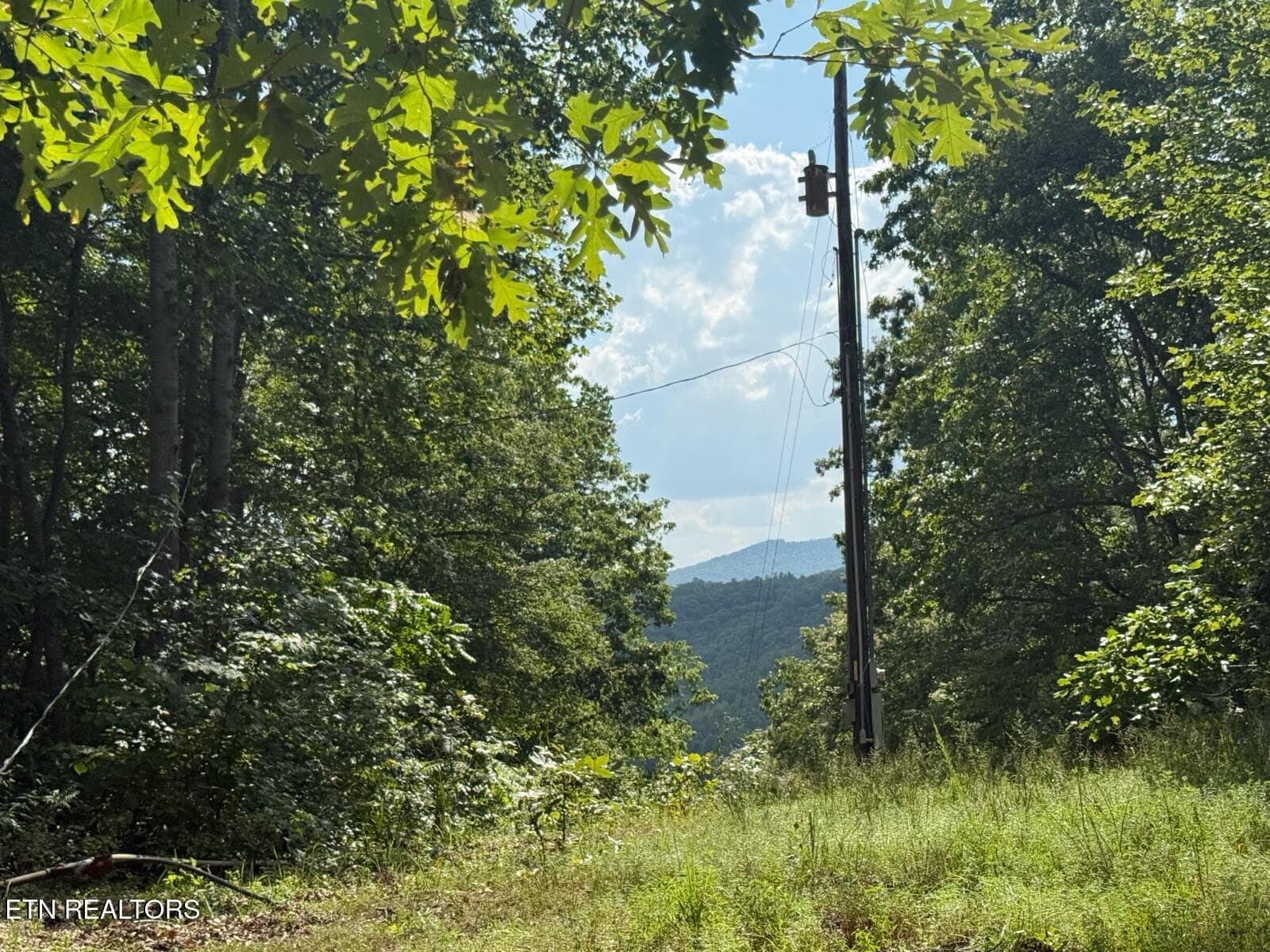IMG_4581 - 00 Puncheon Creek Lane, Allred, TN 38542