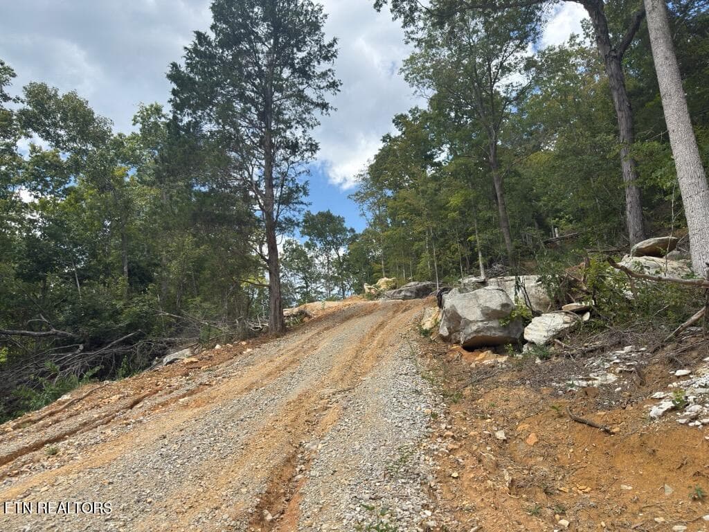 IMG_4584 - 00 Puncheon Creek Lane, Allred, TN 38542