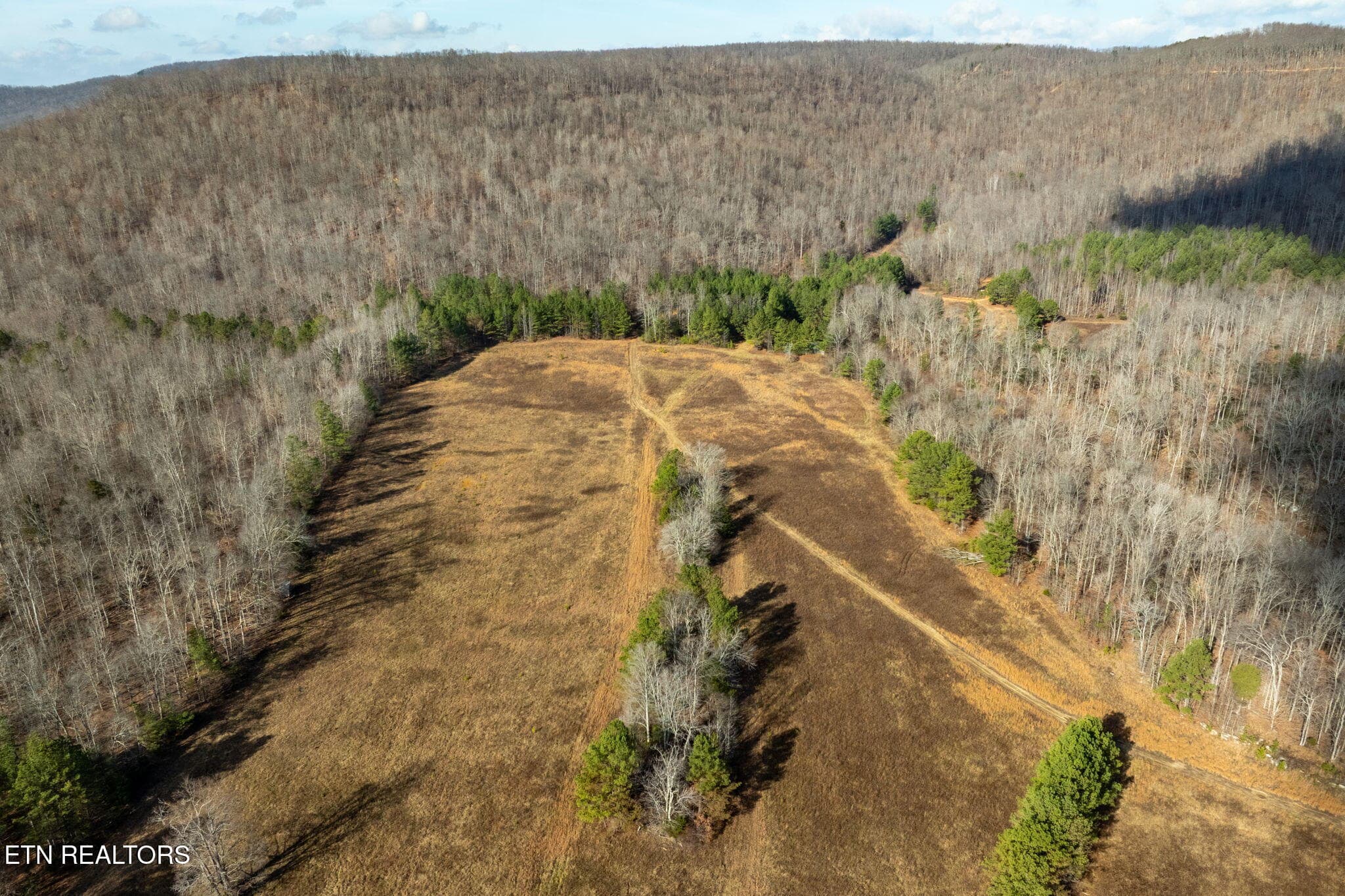 7-web-or-mls-puncheon-creek-ln - 00 Puncheon Creek Lane, Allred, TN 38542