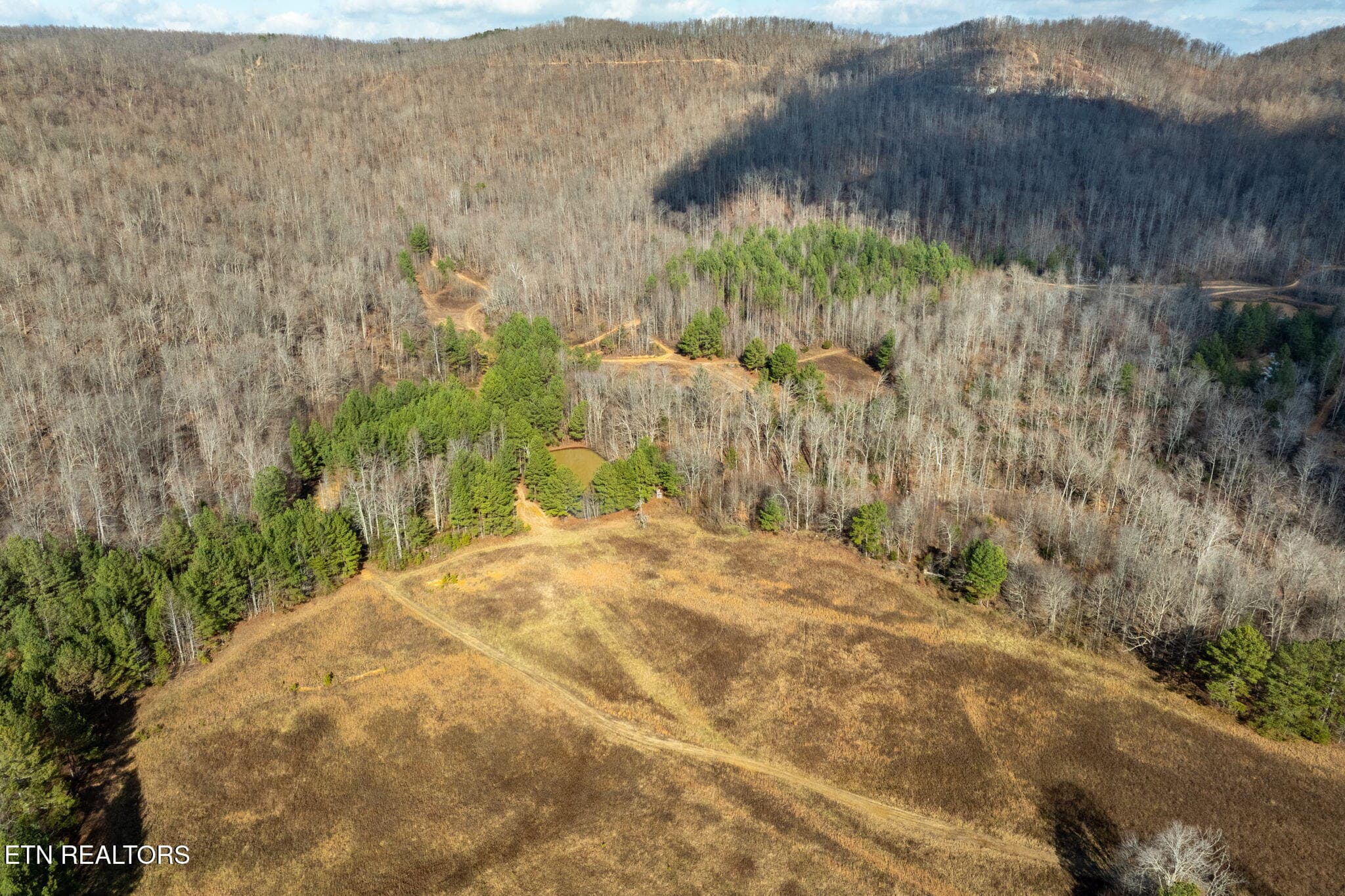 9-web-or-mls-puncheon-creek-ln - 00 Puncheon Creek Lane, Allred, TN 38542